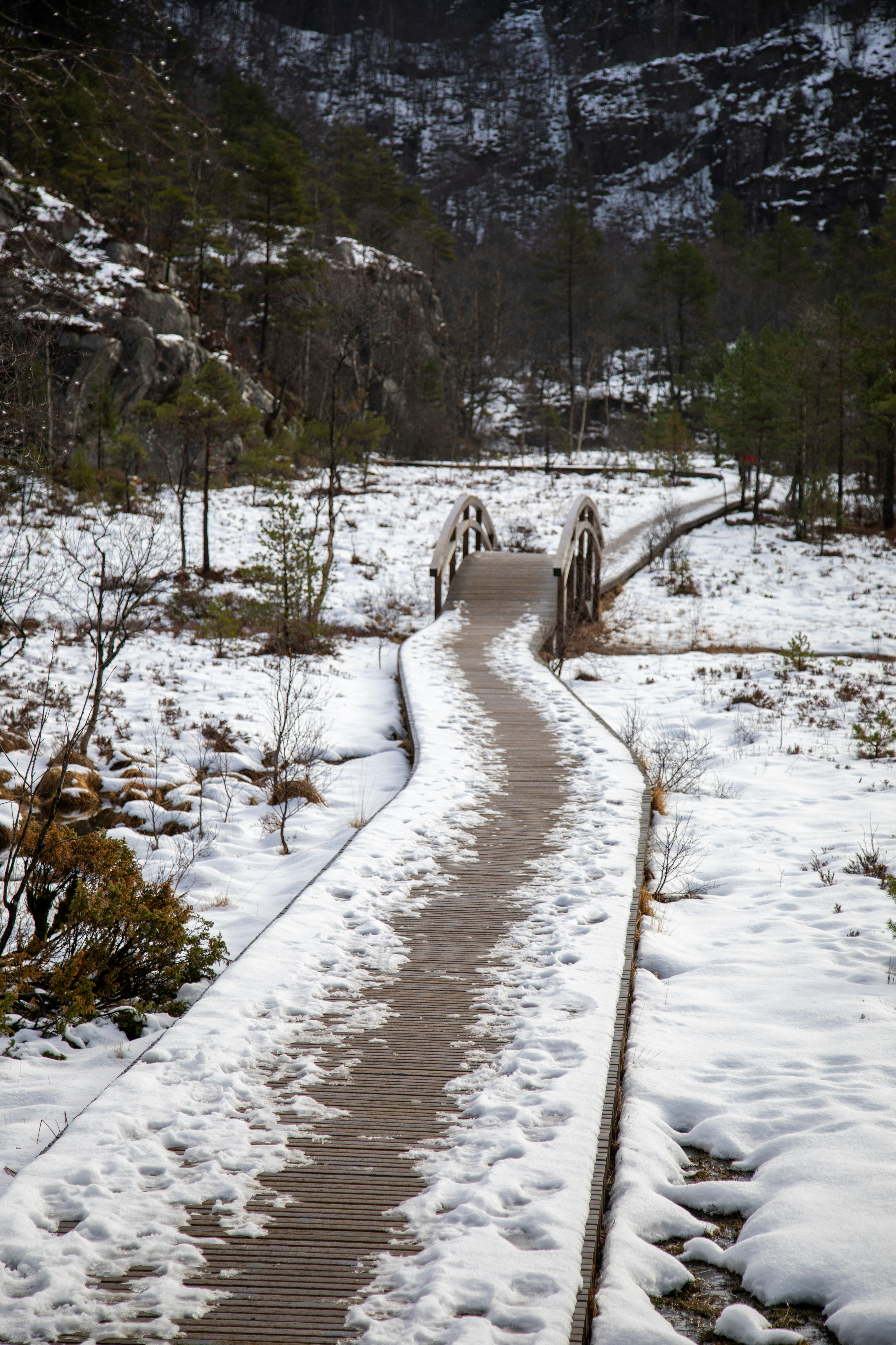 Una passerella di legno serpeggio attraverso un paesaggio innevato.