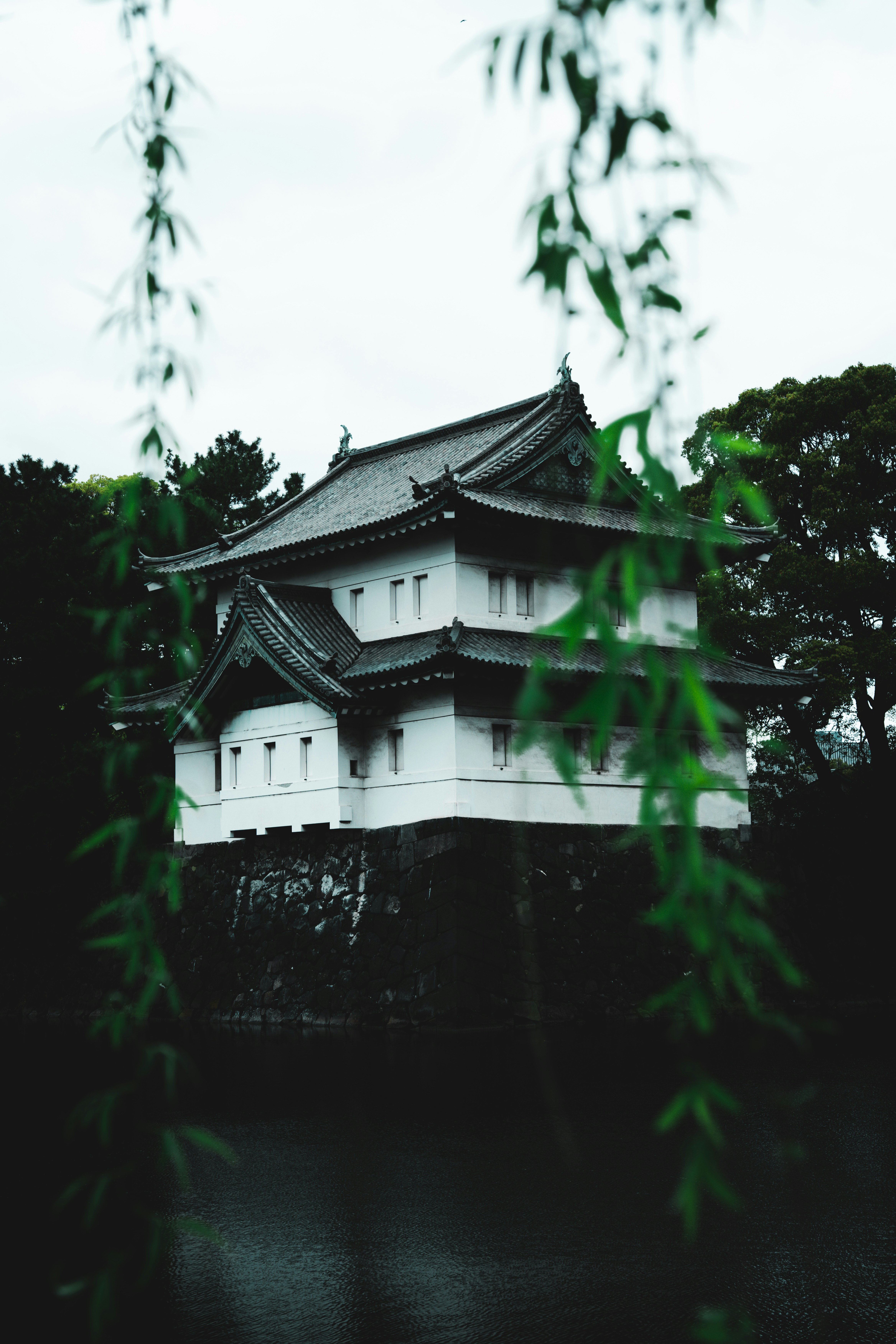 Photo by erushinu