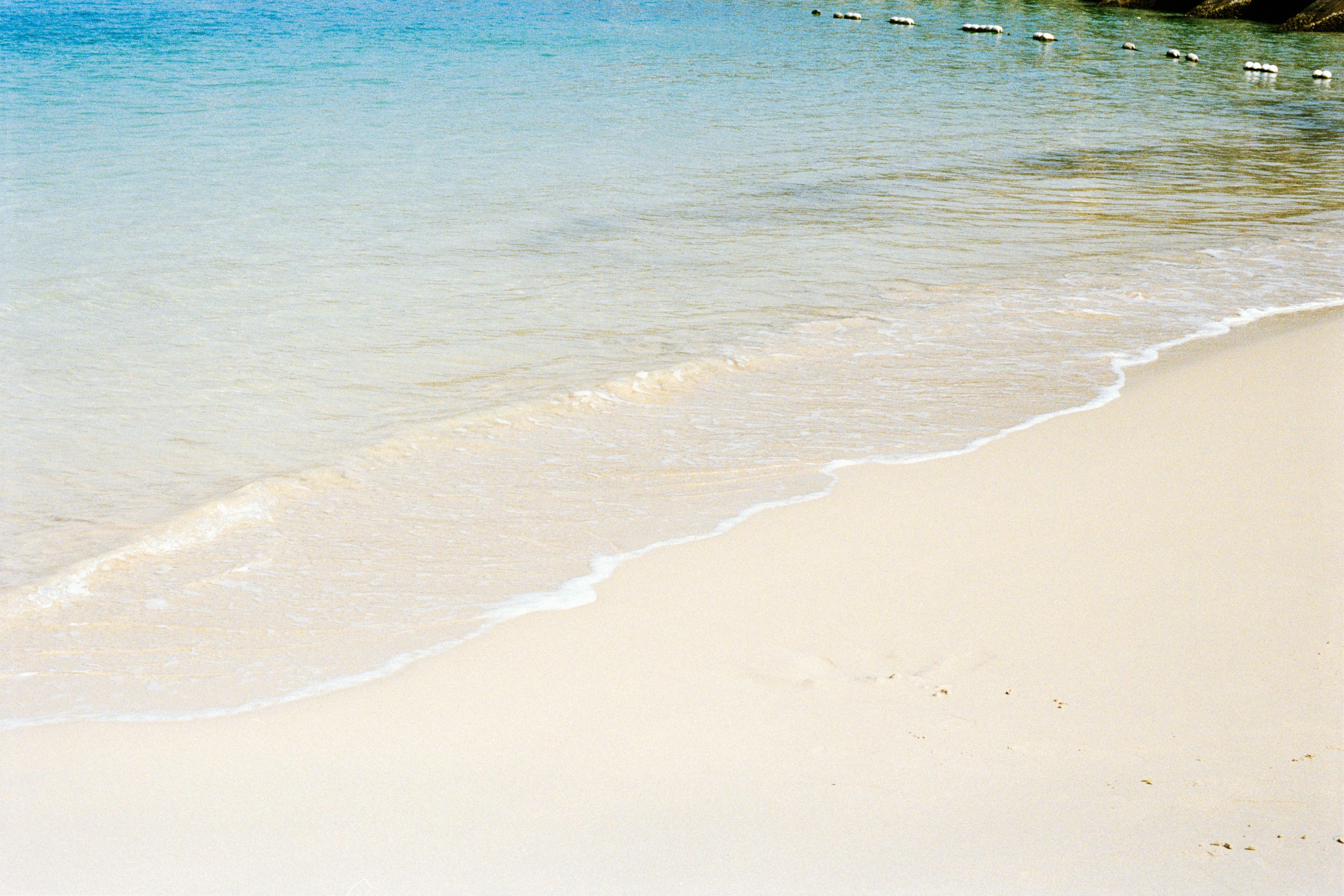 Photo by zhenyao_photo