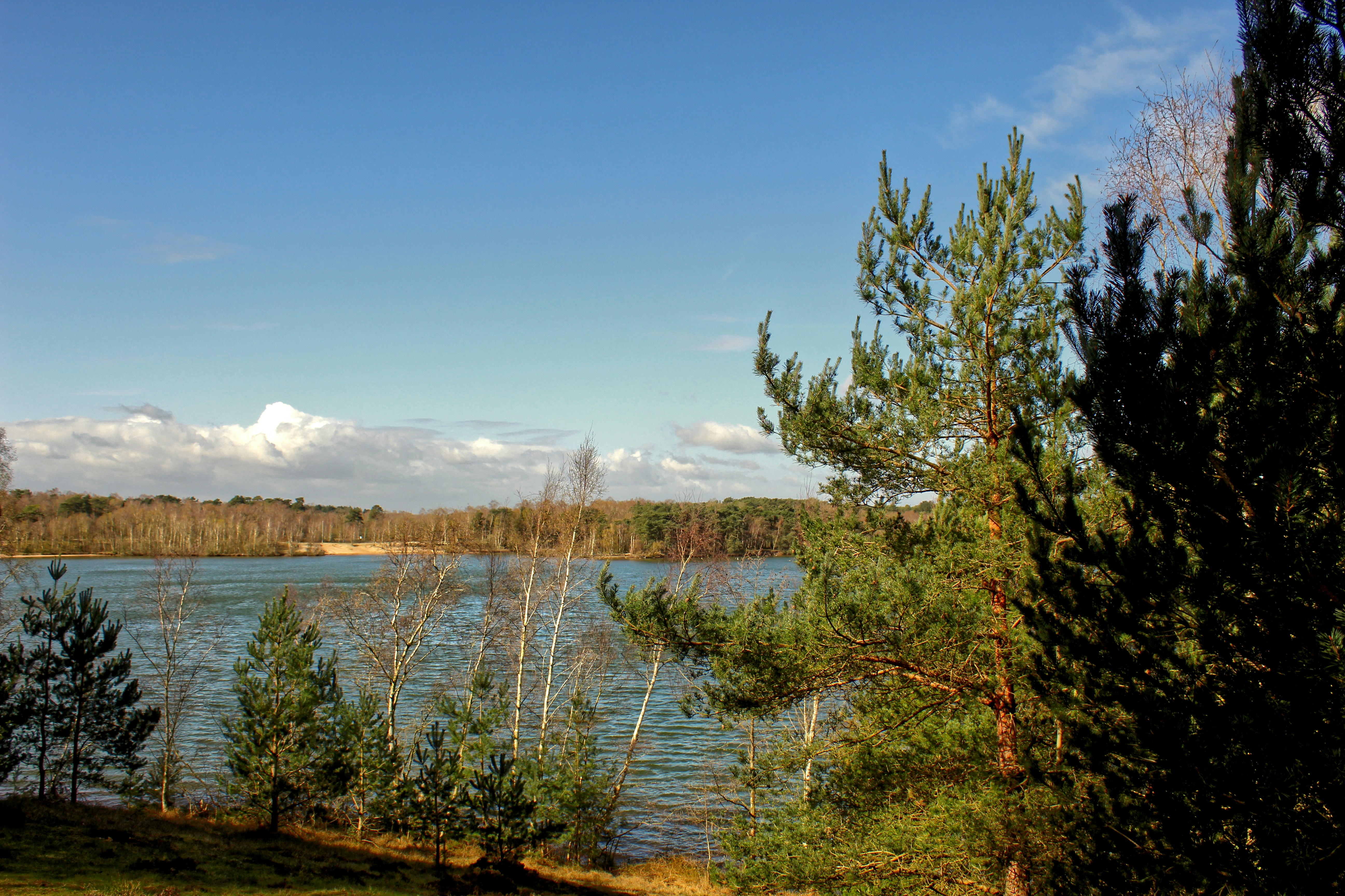 Hairston Park