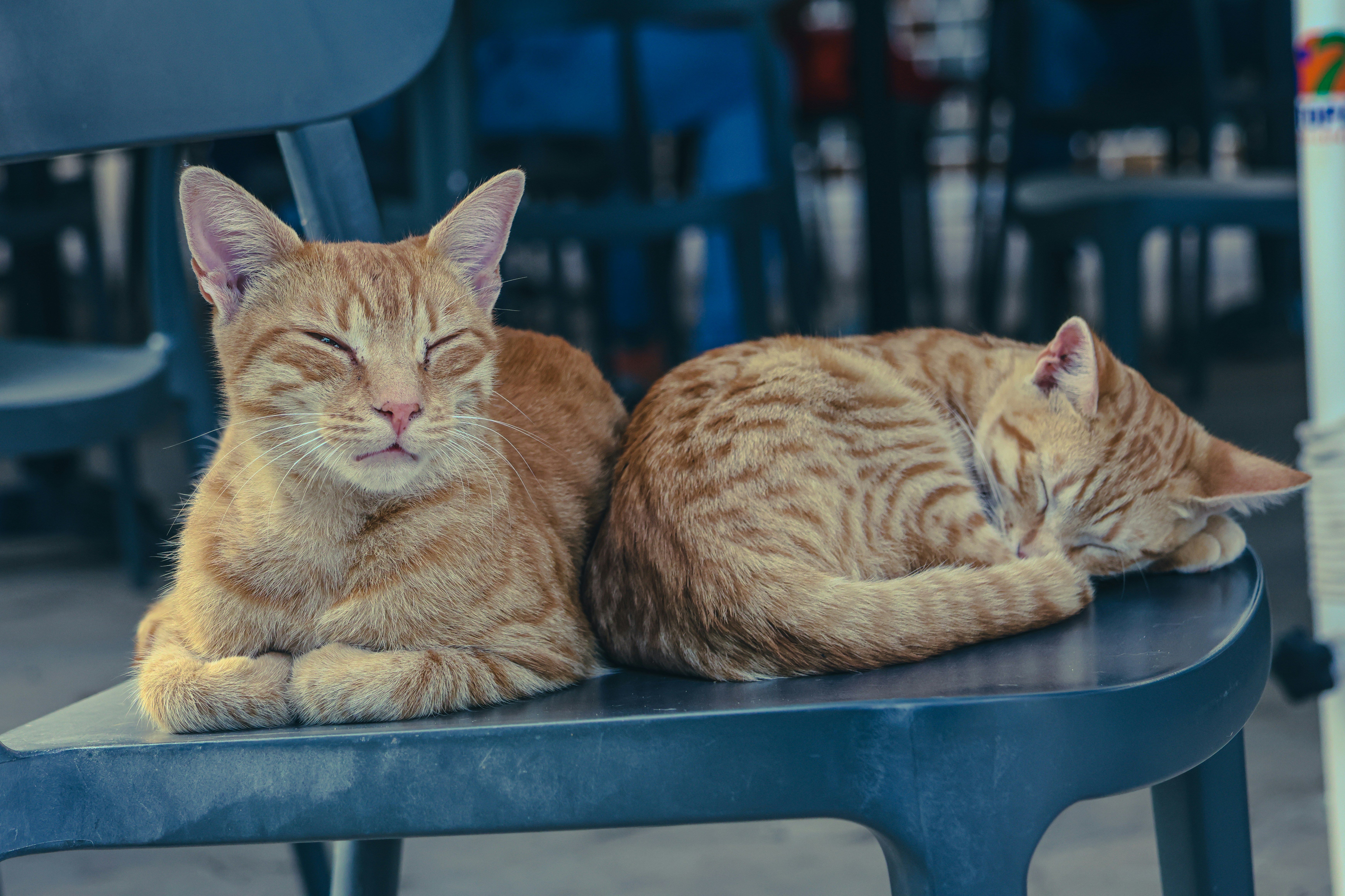 Photo by wendell_adriel