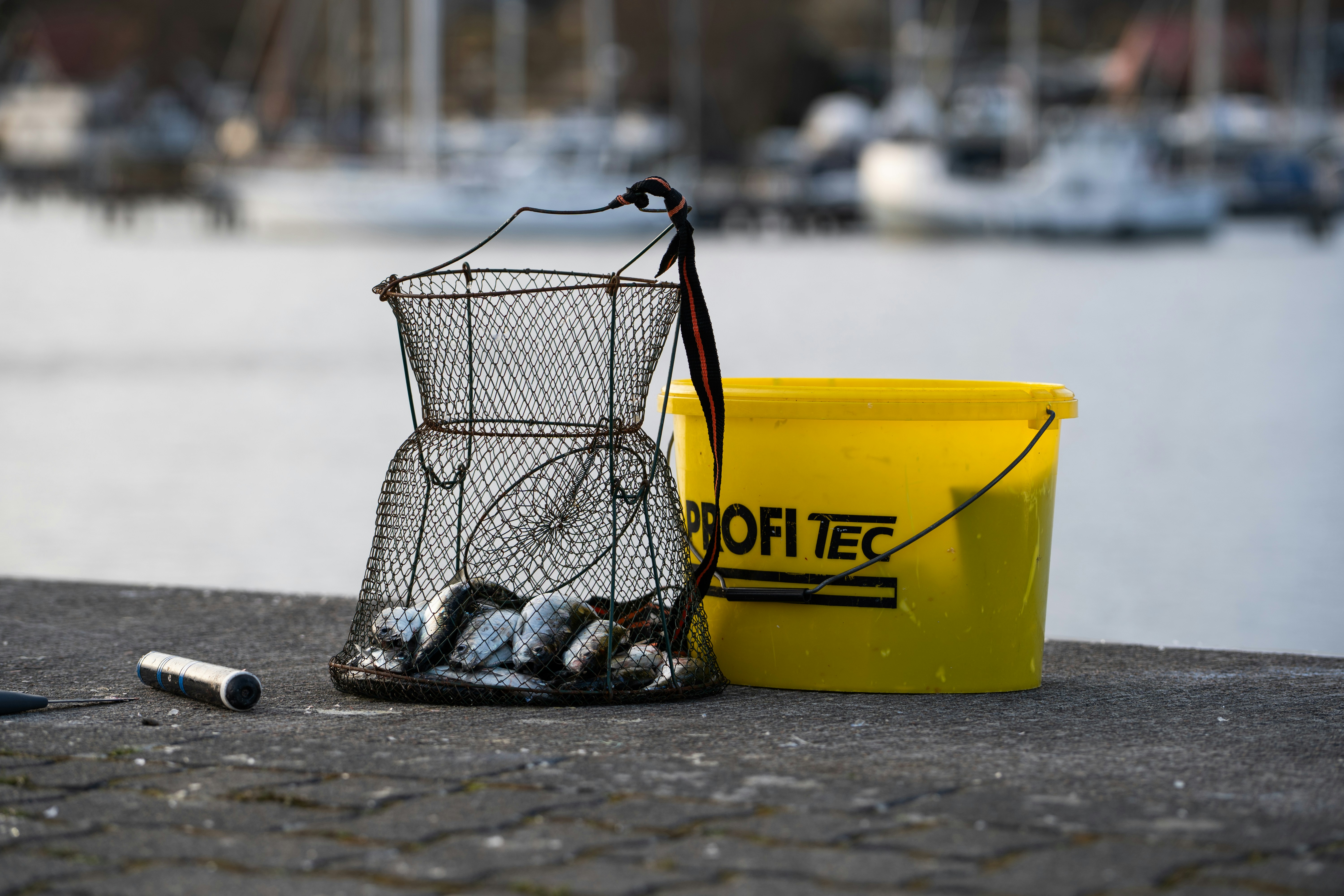 Fischernetz mit Fisch und gelber Eimer am Wasser.