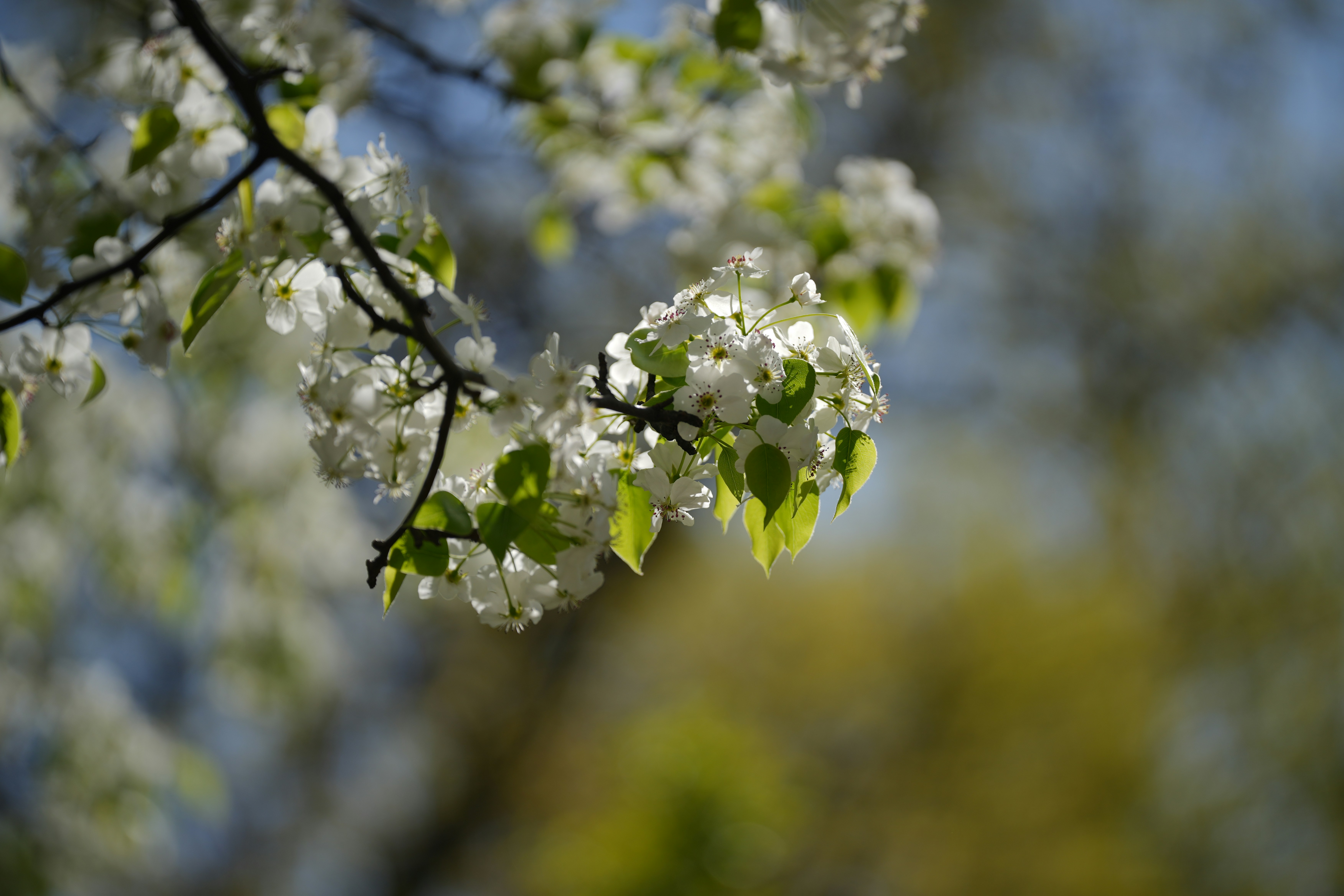 Photo by bdim404