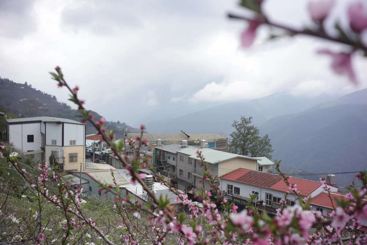 Turtuk