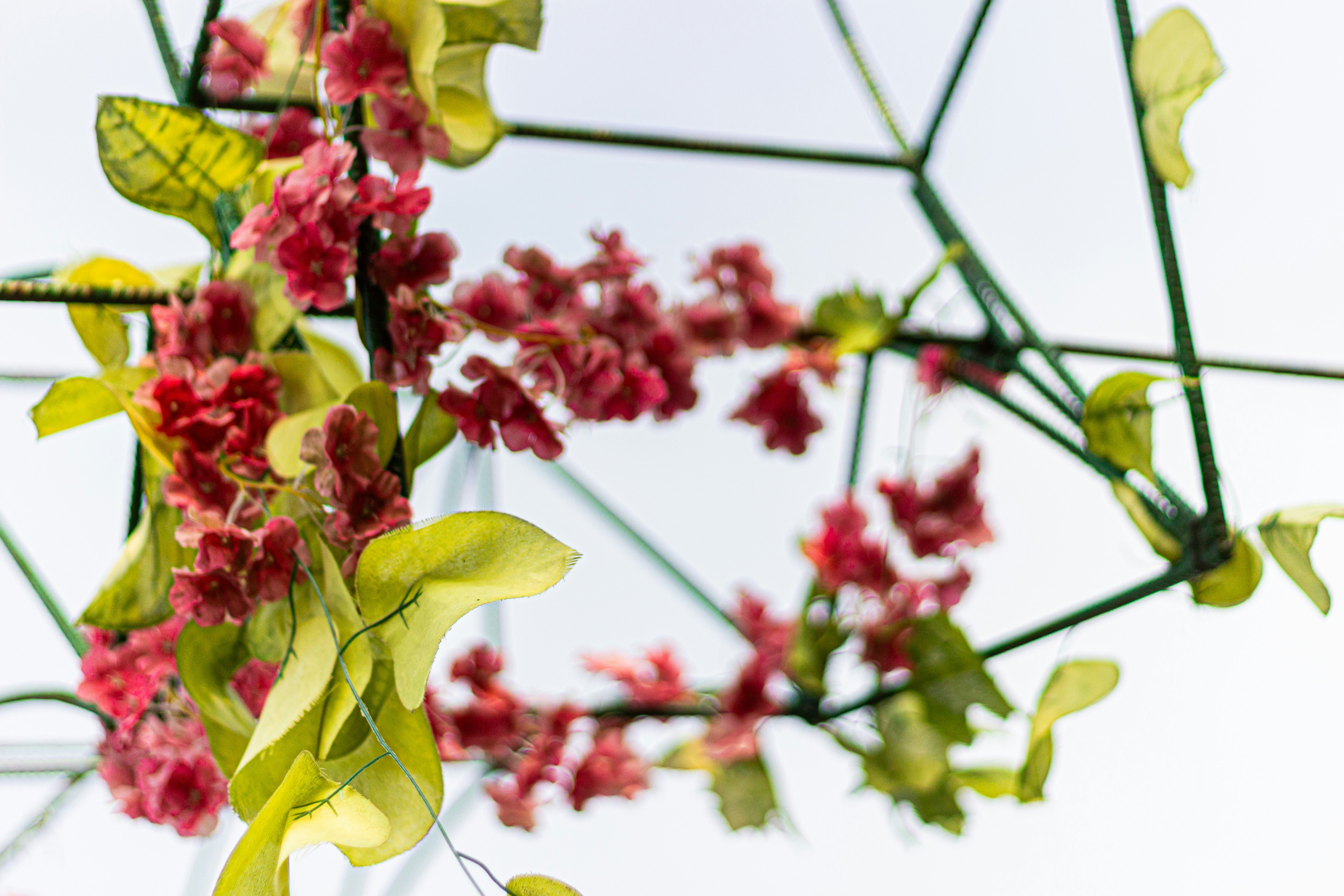 Pink flowers and green leaves on geometric structure