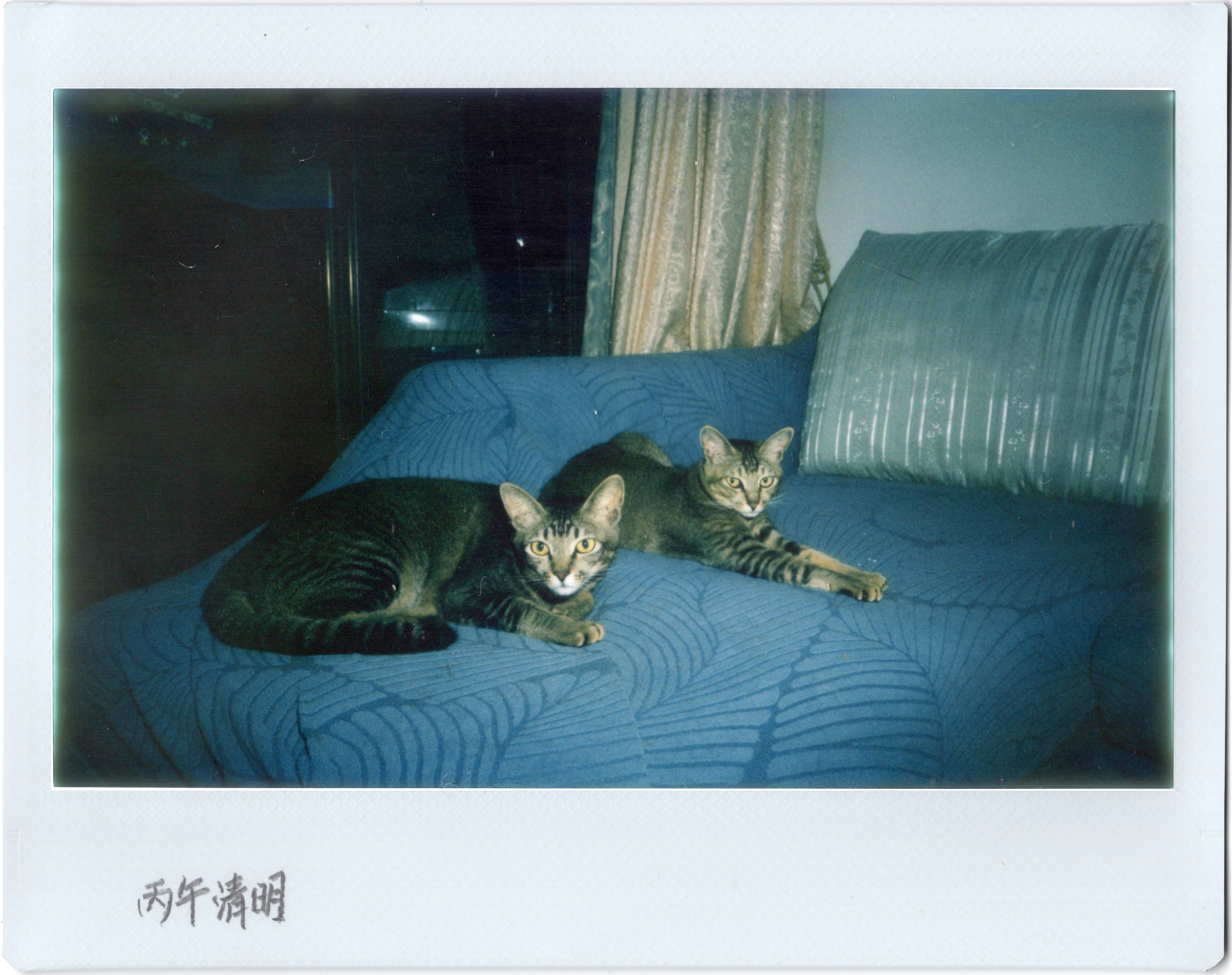 If you're like most of us, the field of insurance can frequently appear irritating, frustrating, and simply basic perplexing. A fundamental knowledge of insurance policy, even so, is important for today's planet. Exactly what can you do to minimize the fr