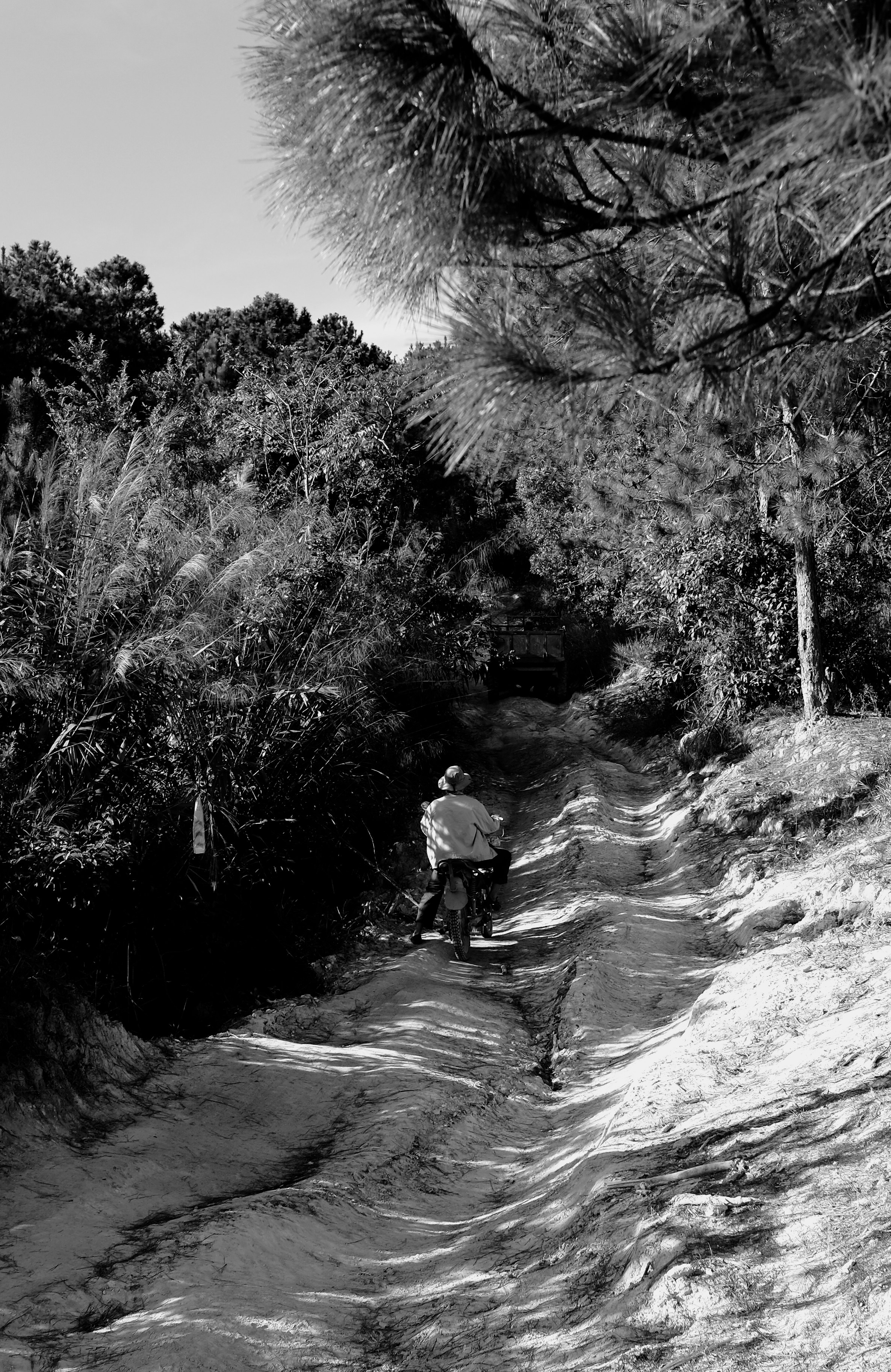 La persona va in bicicletta su un sentiero sterrato.