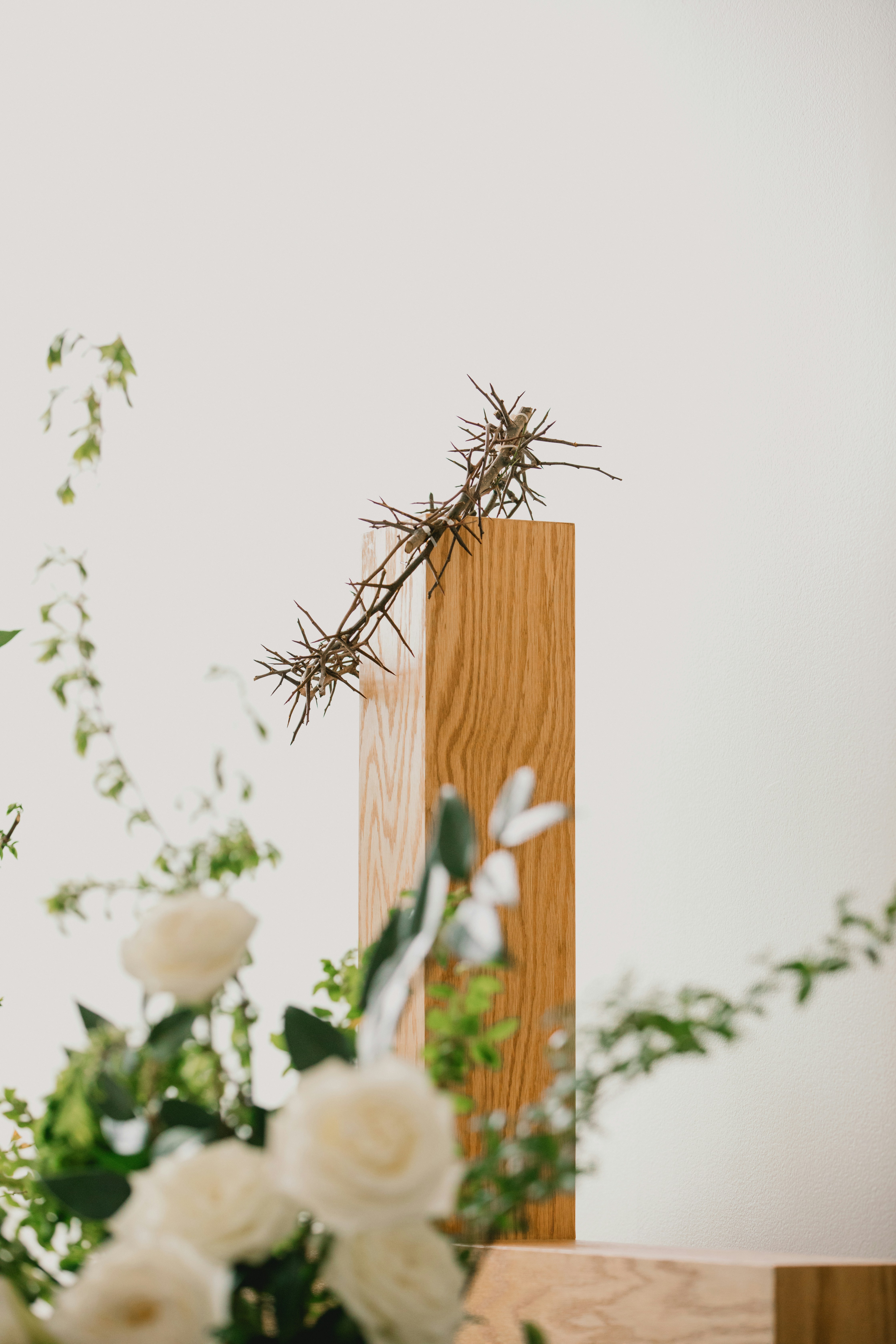 soft light ceremony, wallpaper, Ceremony Readings: Choosing Words That Resonate 2