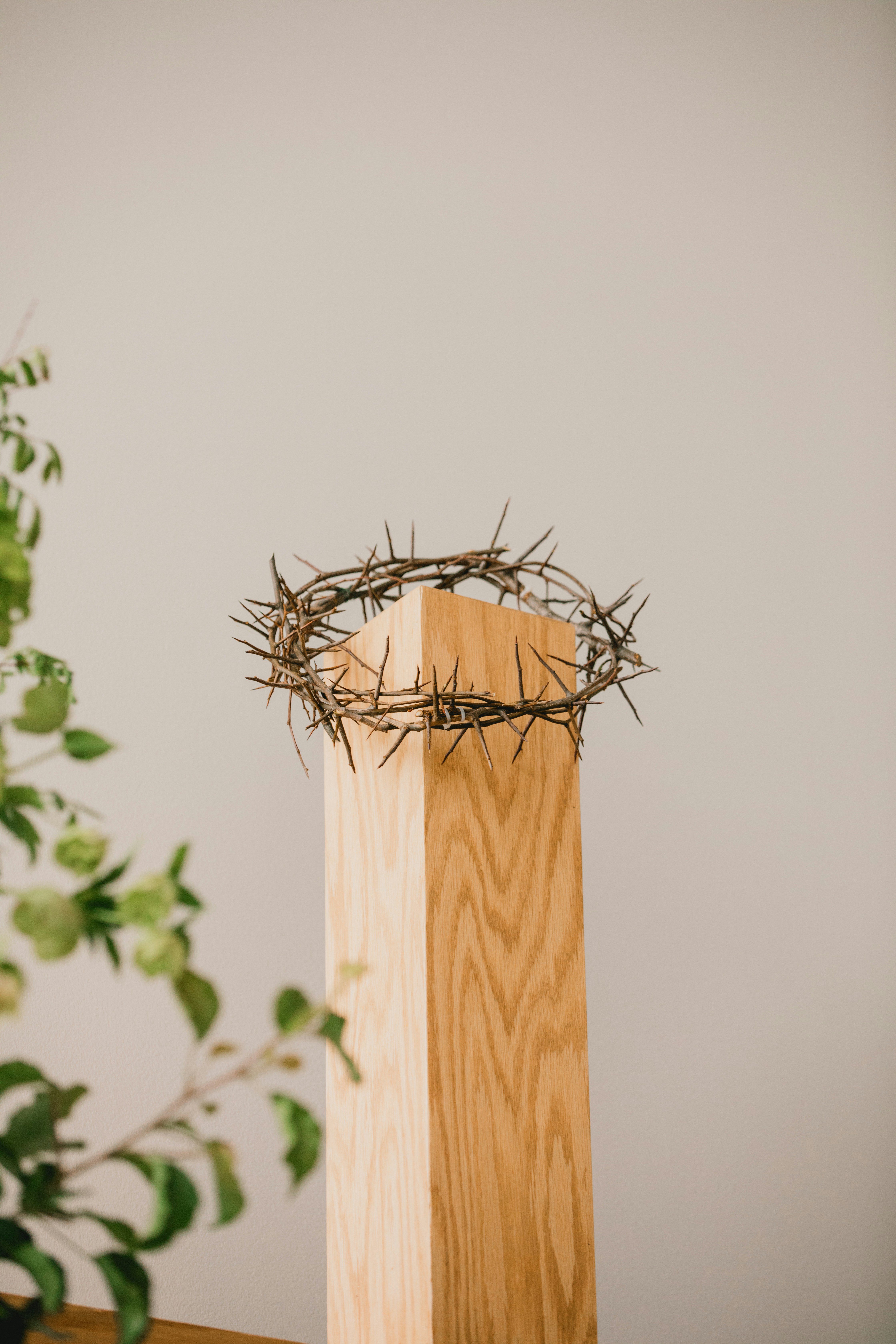 Crown of thorns rests on wooden post with greenery