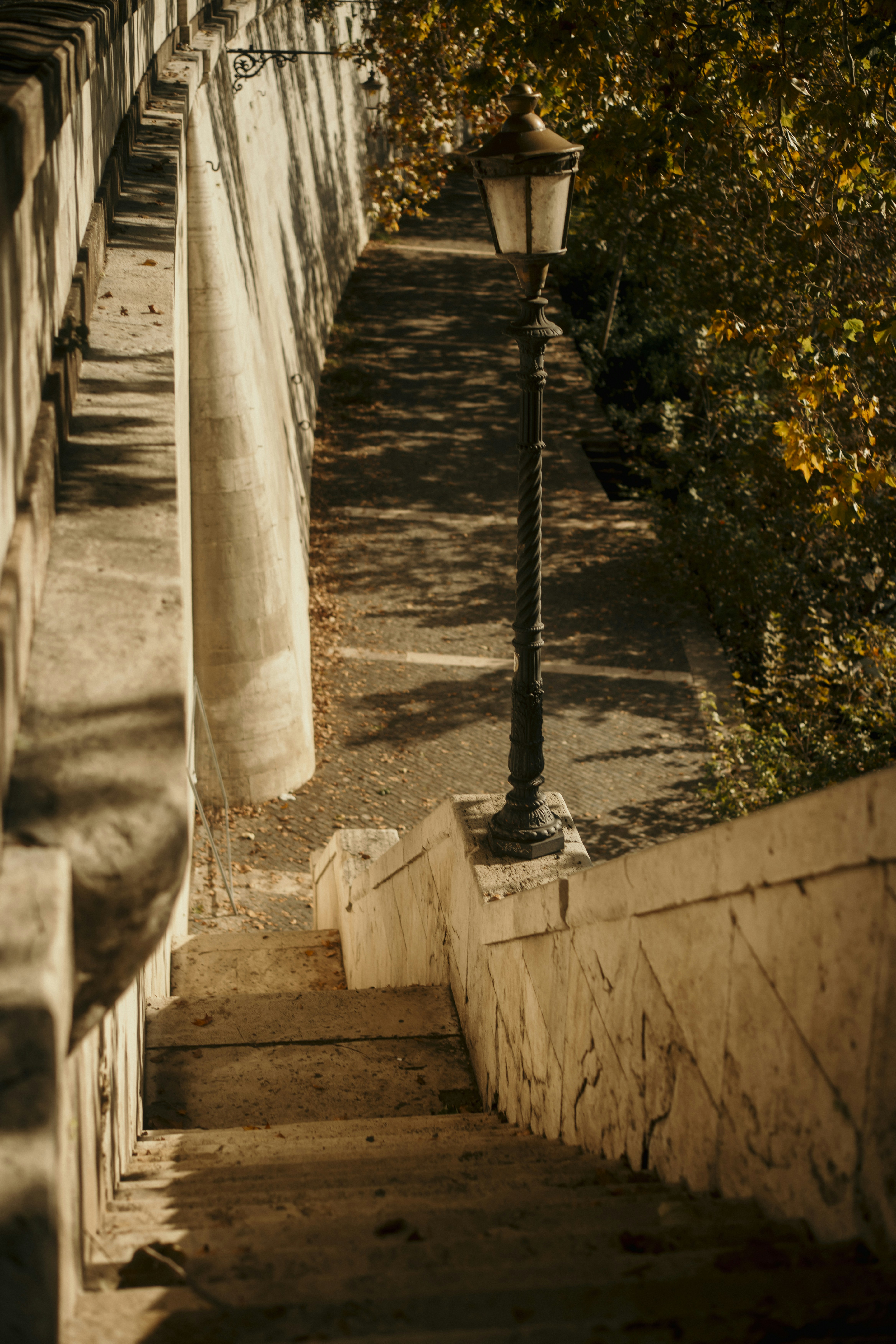 Photo by reddfrancisco