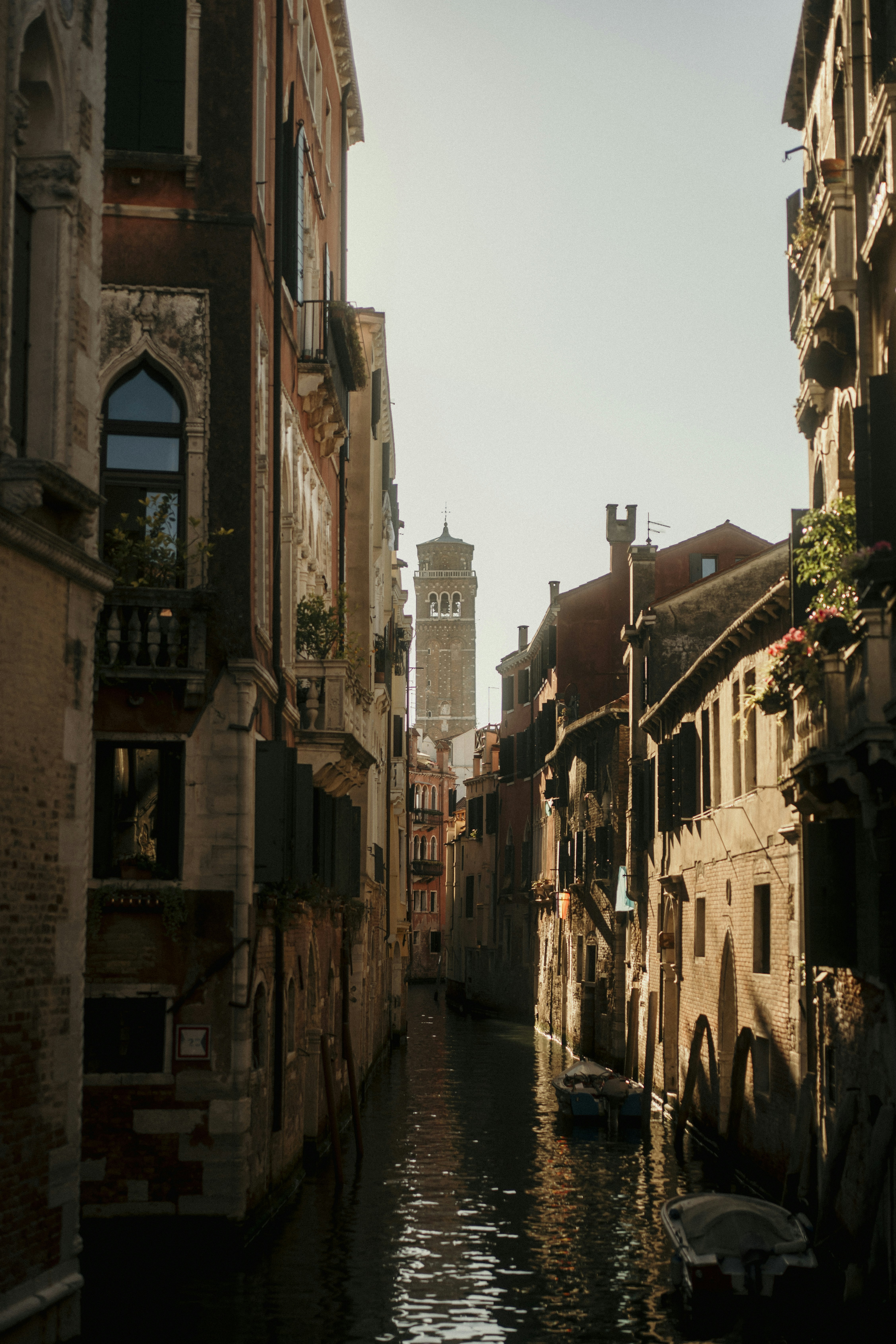 Photo by reddfrancisco