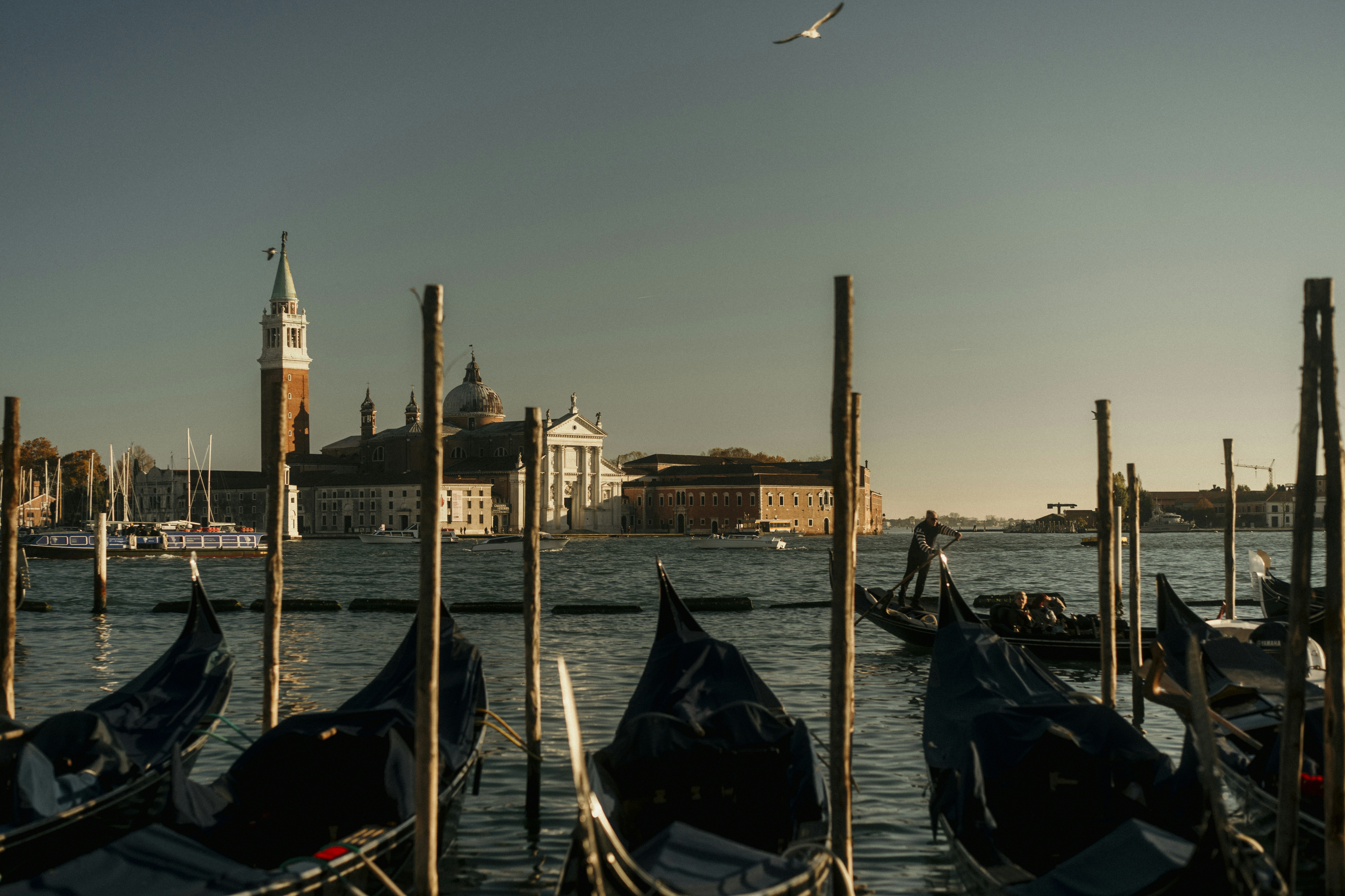 Photo by reddfrancisco