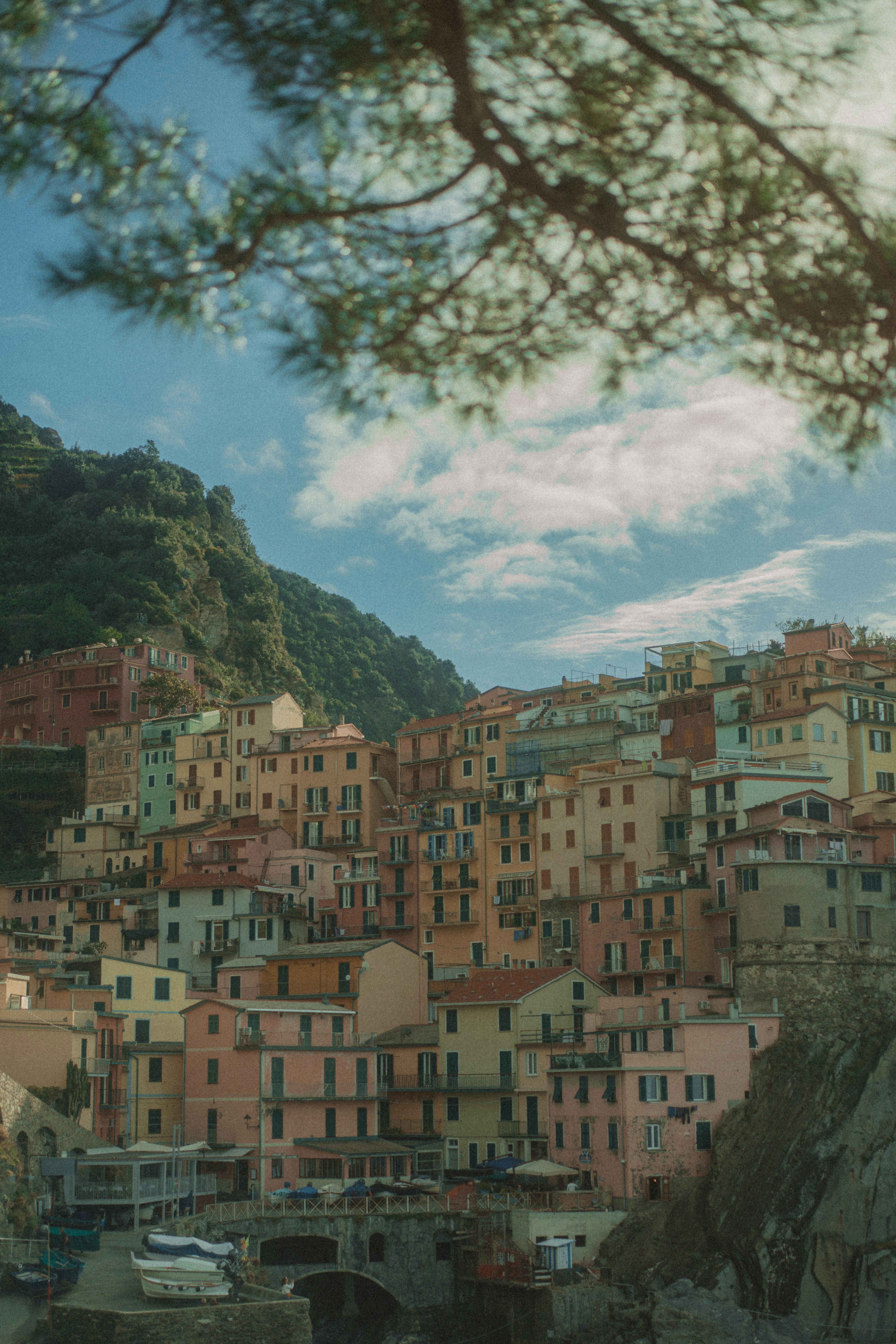 Photo by reddfrancisco