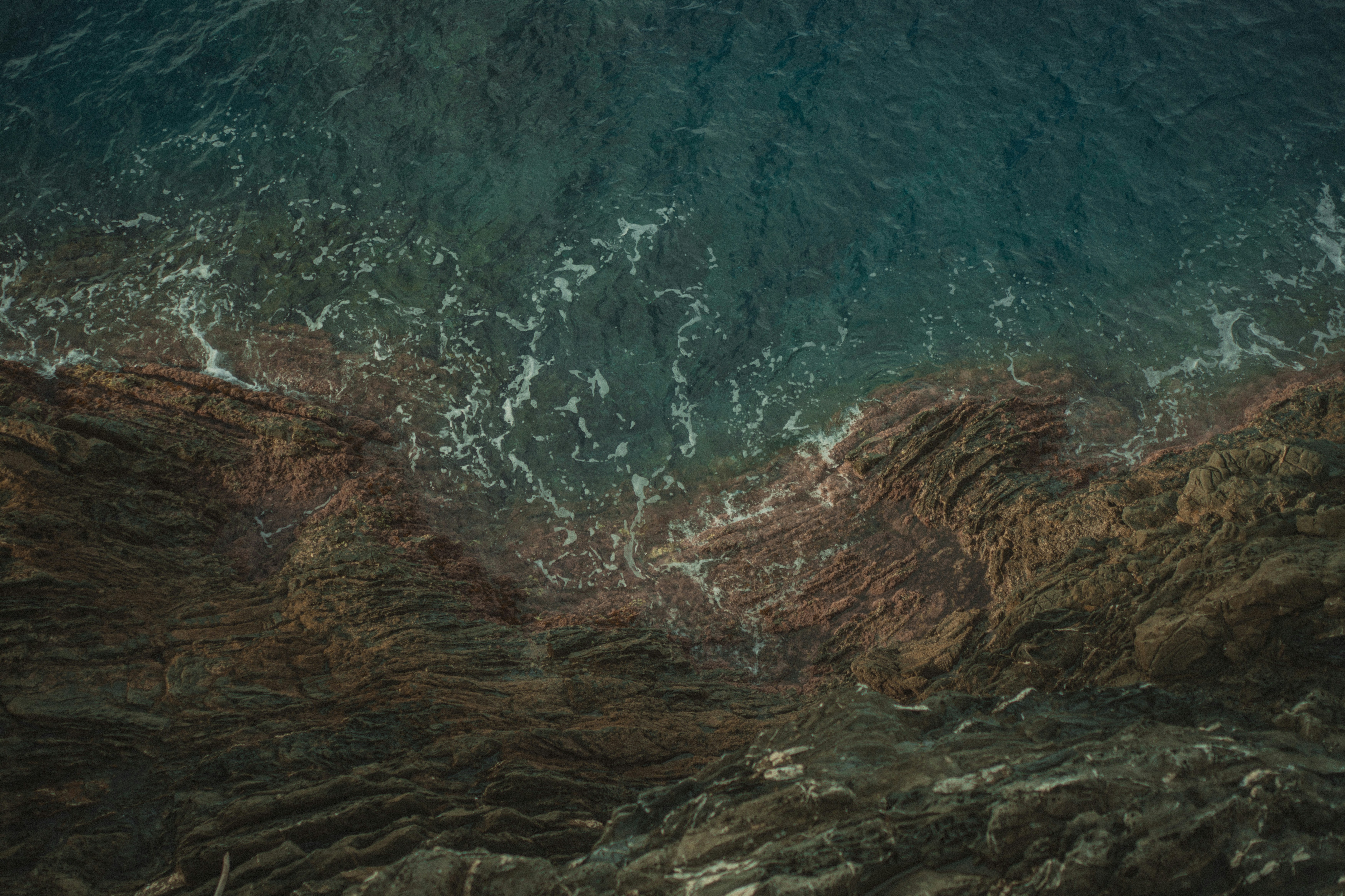 Photo by reddfrancisco