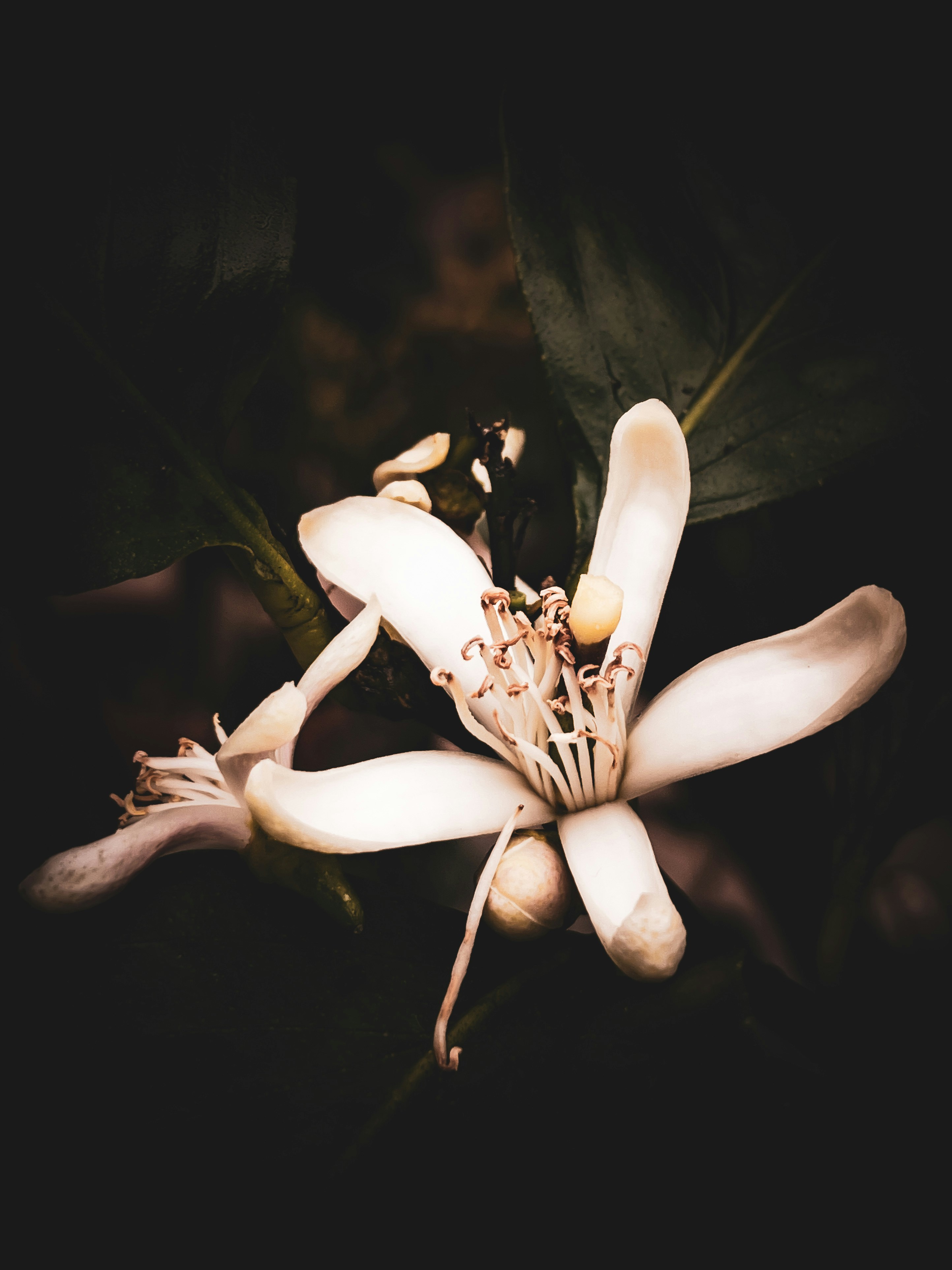 Photo by hdbernd