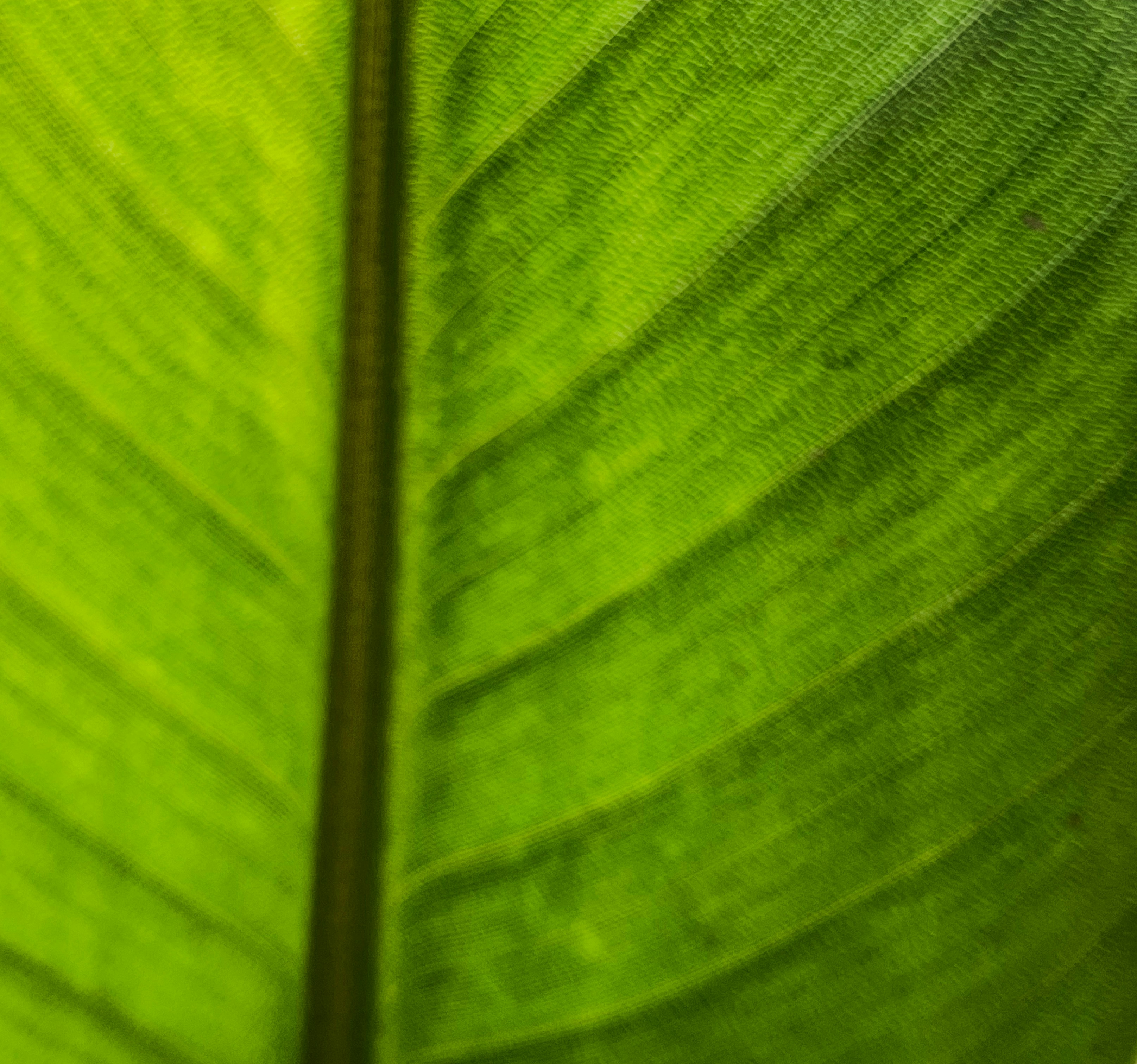 Photo by hdbernd