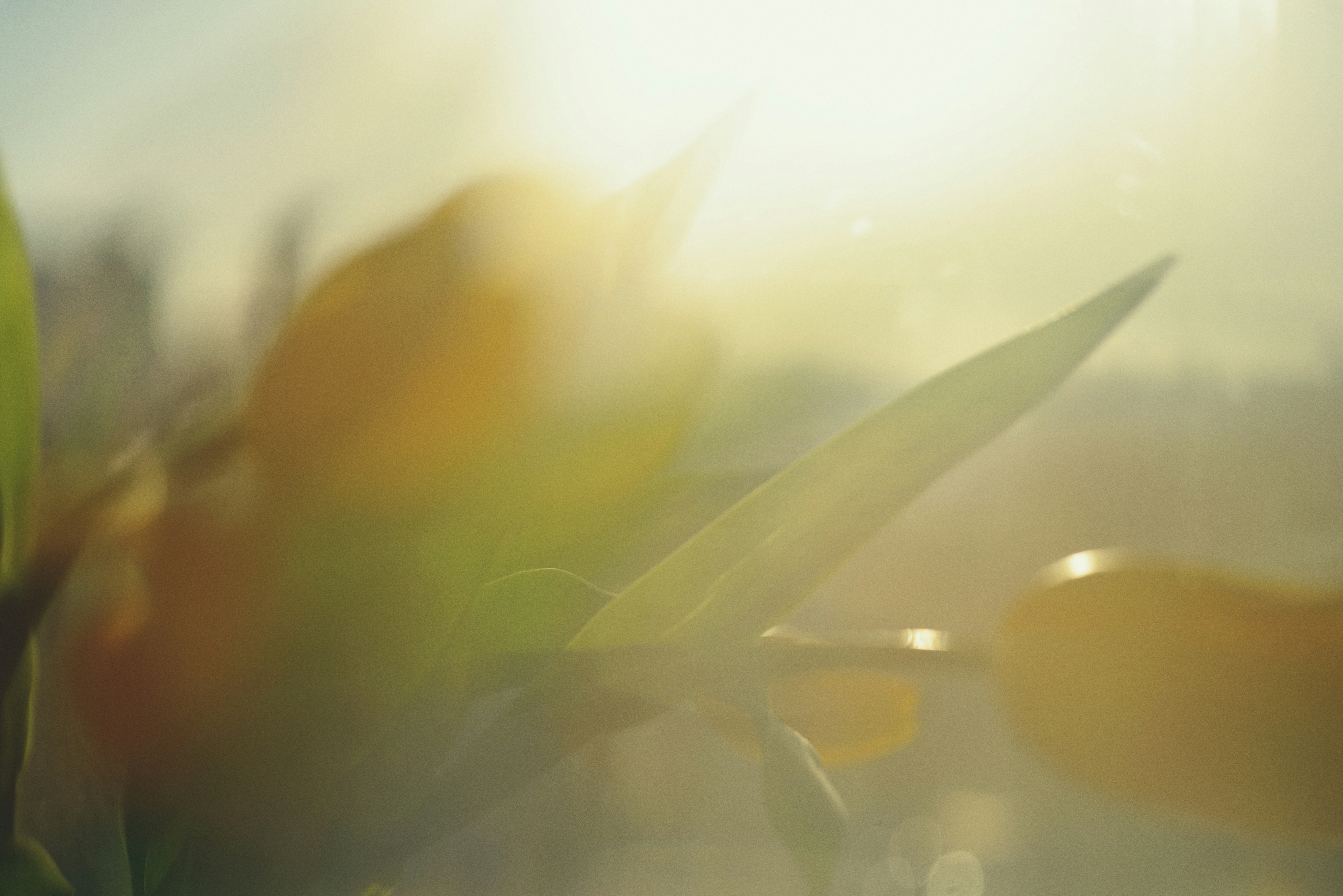 Photo by cherstve_pechivo