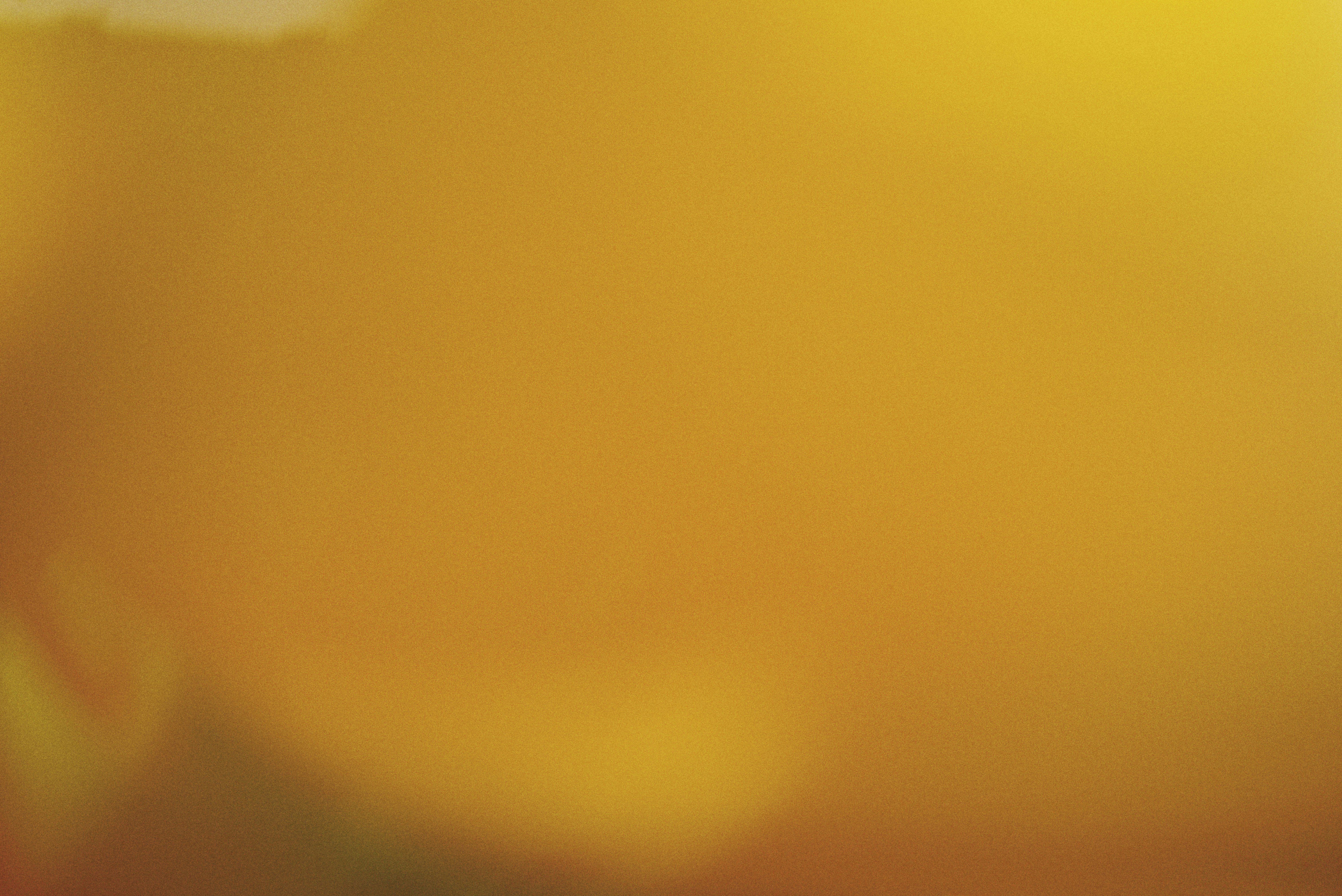 Photo by cherstve_pechivo