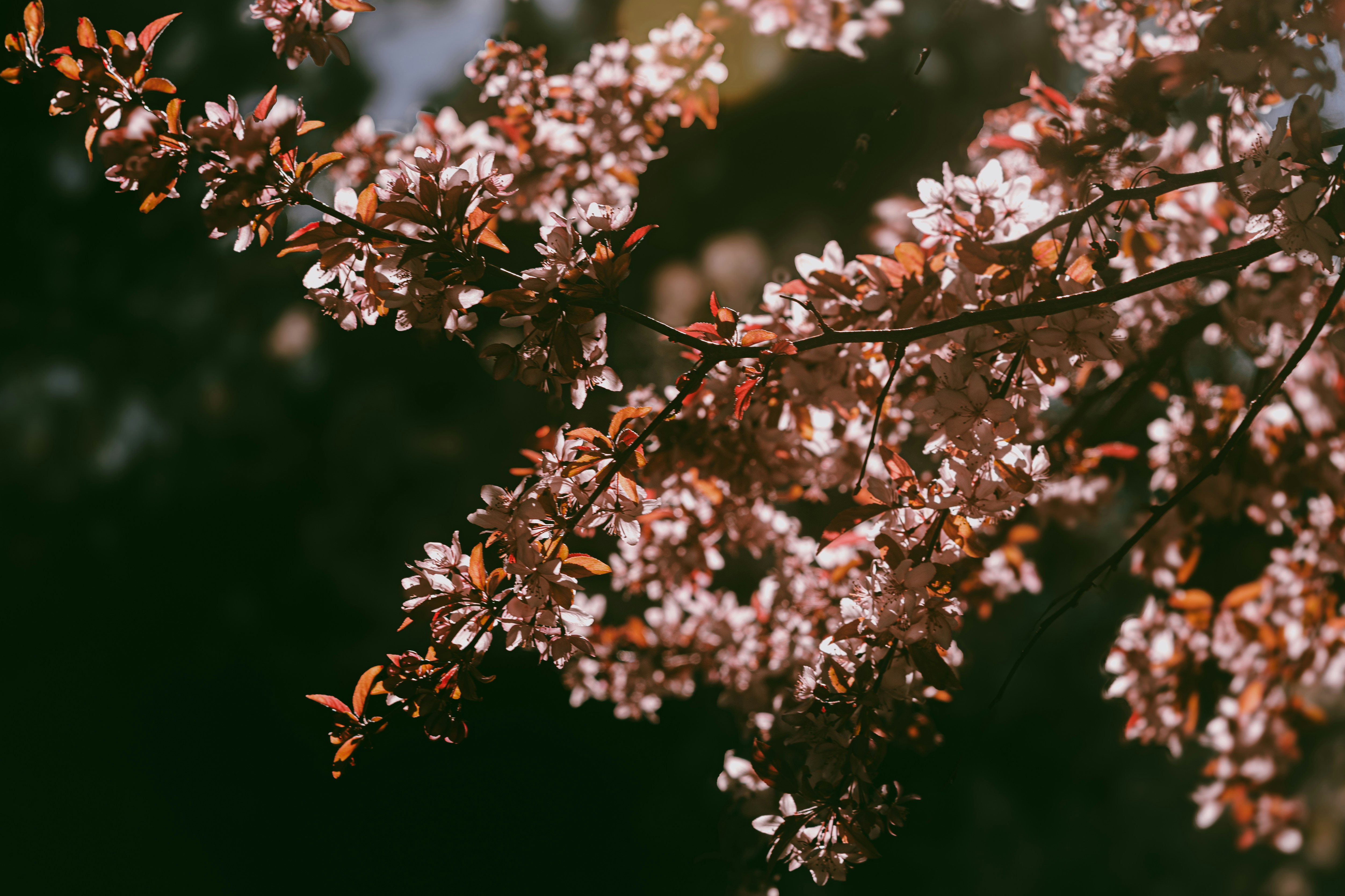 Photo by tayannphoto