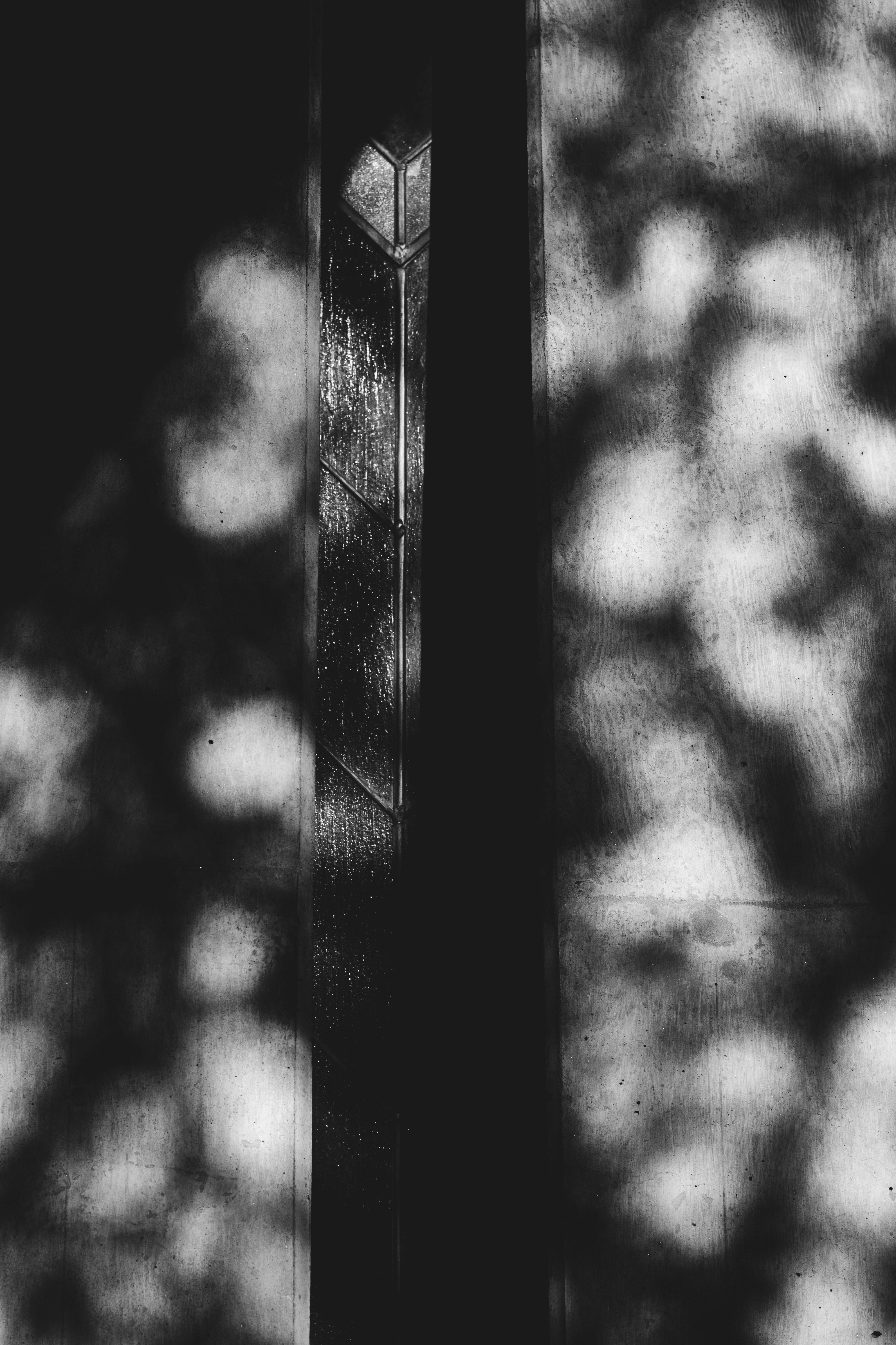 Photo by tayannphoto