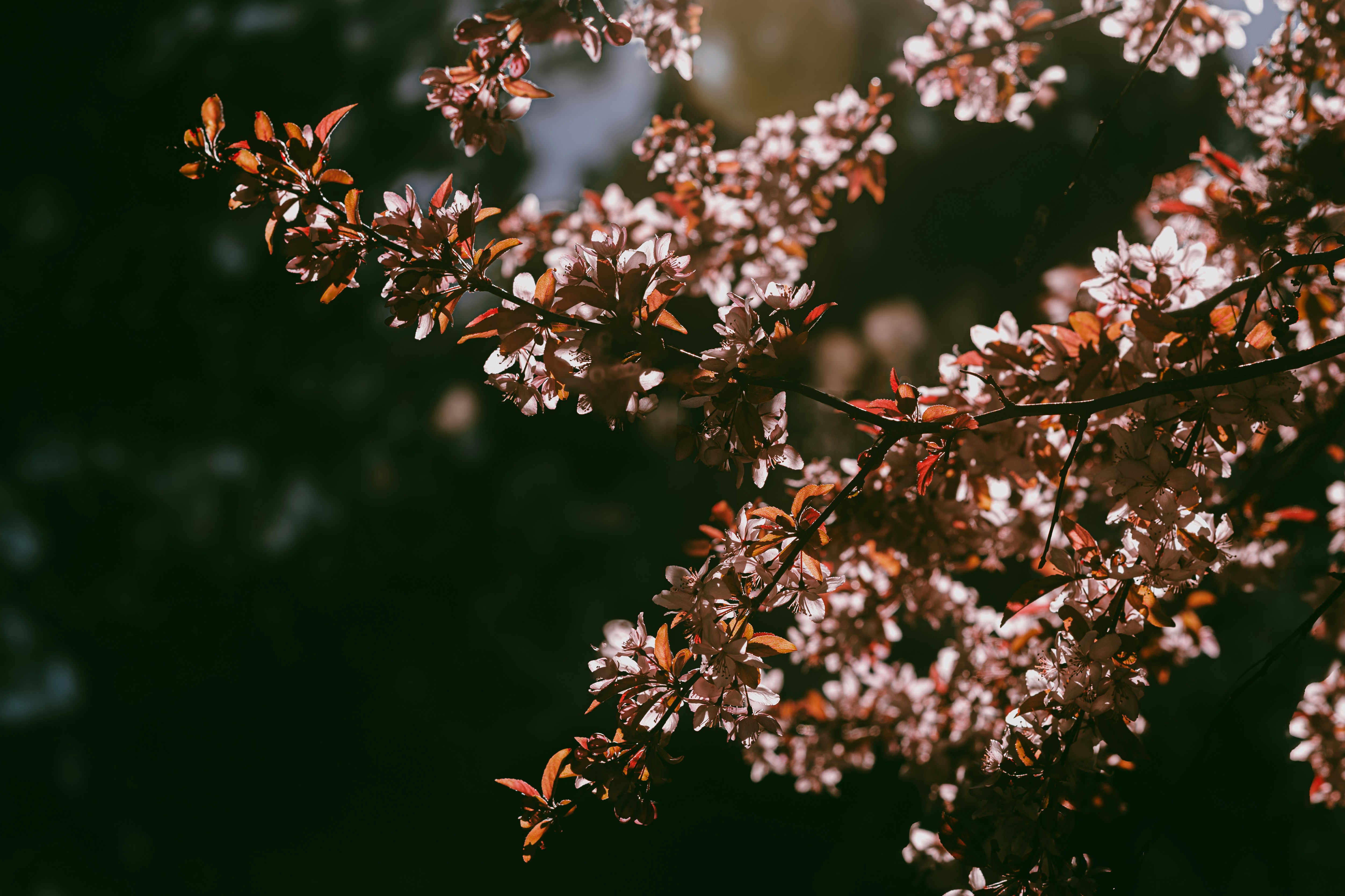 Photo by tayannphoto