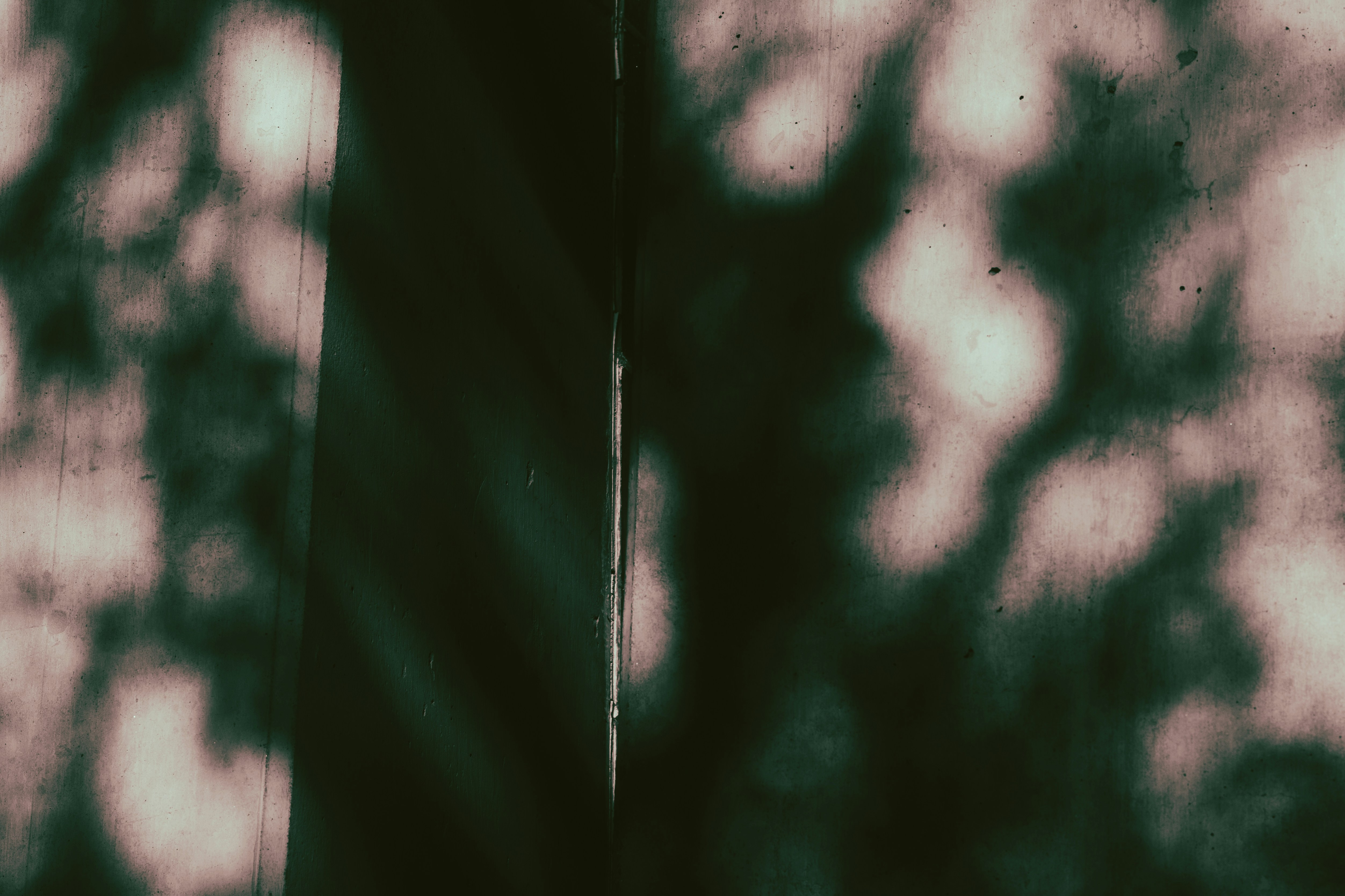 Photo by tayannphoto