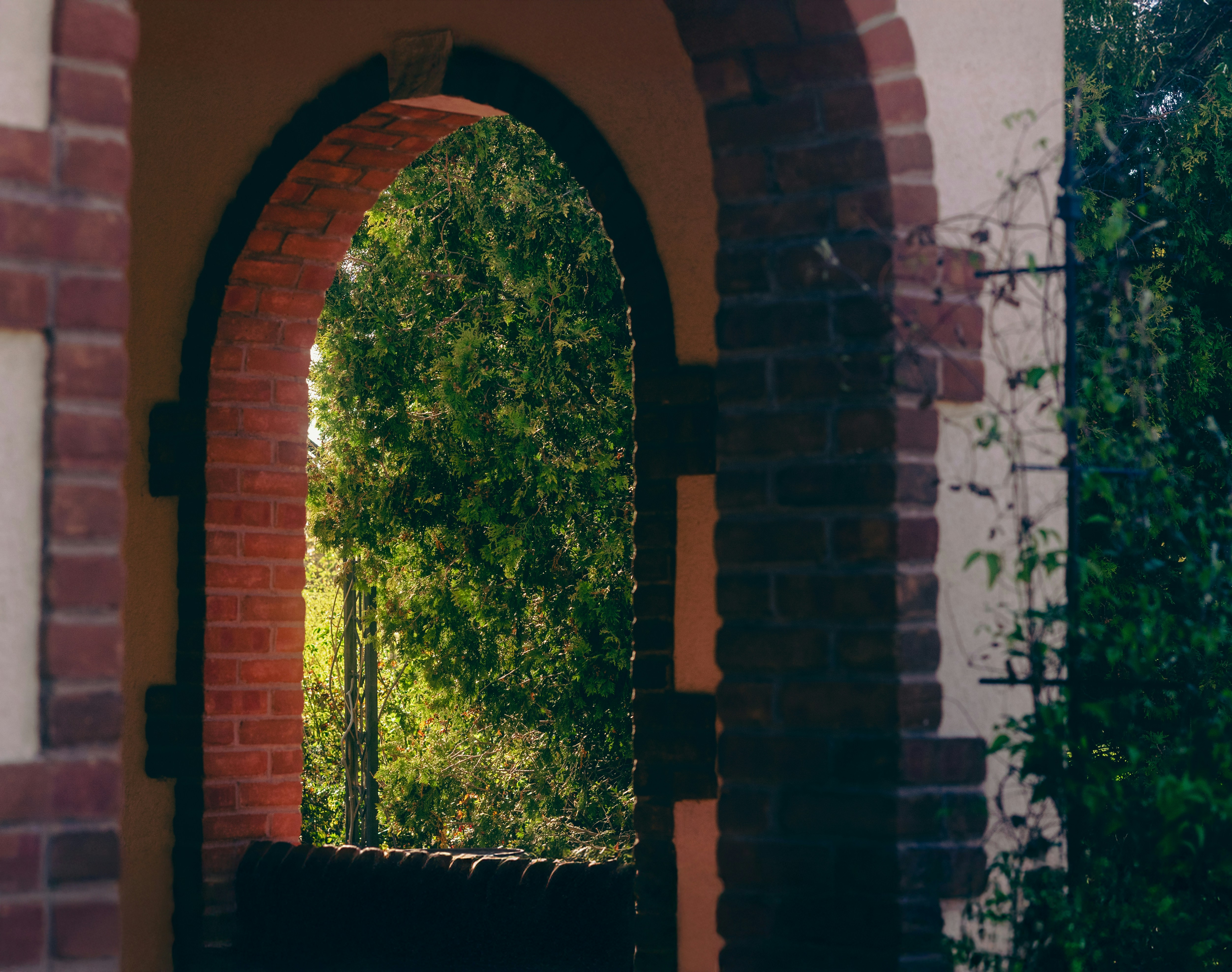 Photo by tayannphoto