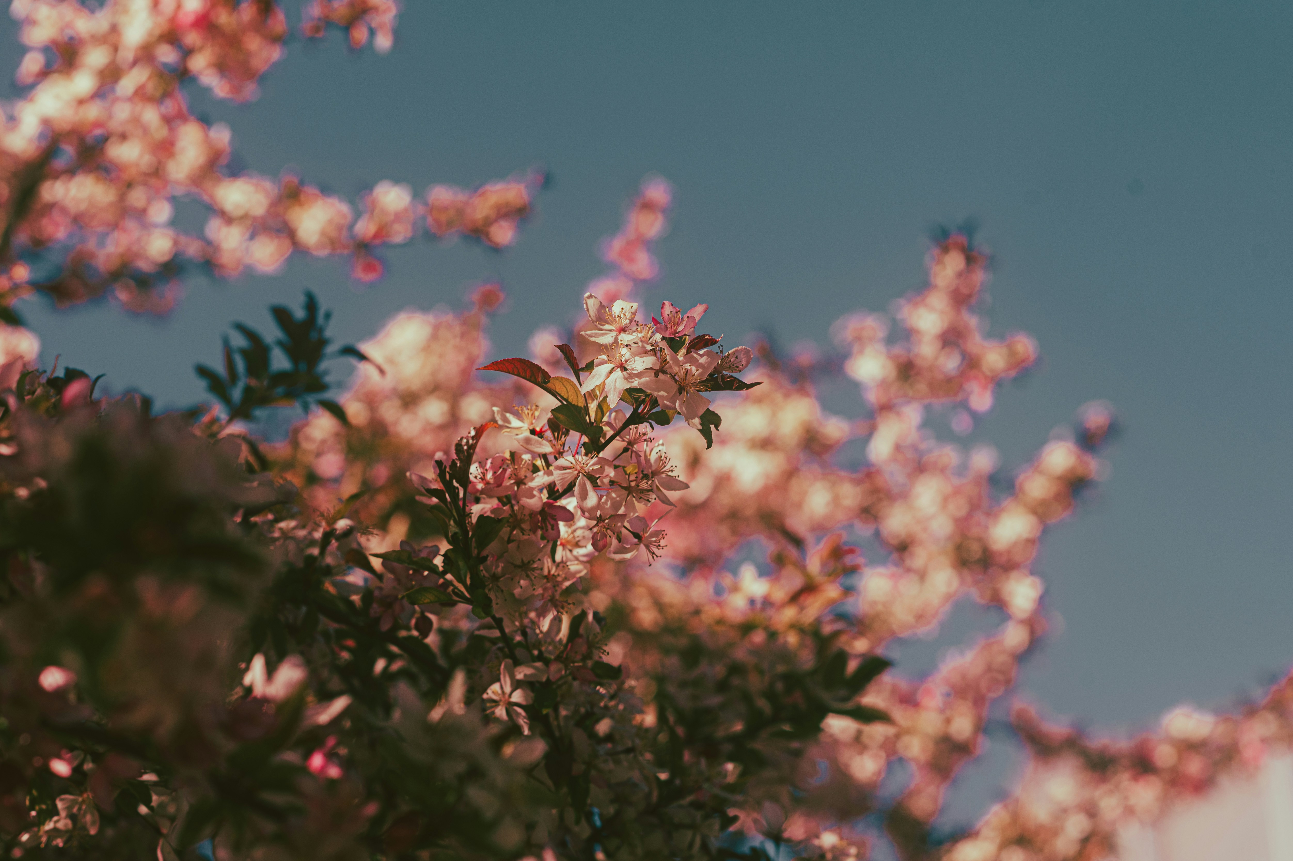 Photo by tayannphoto