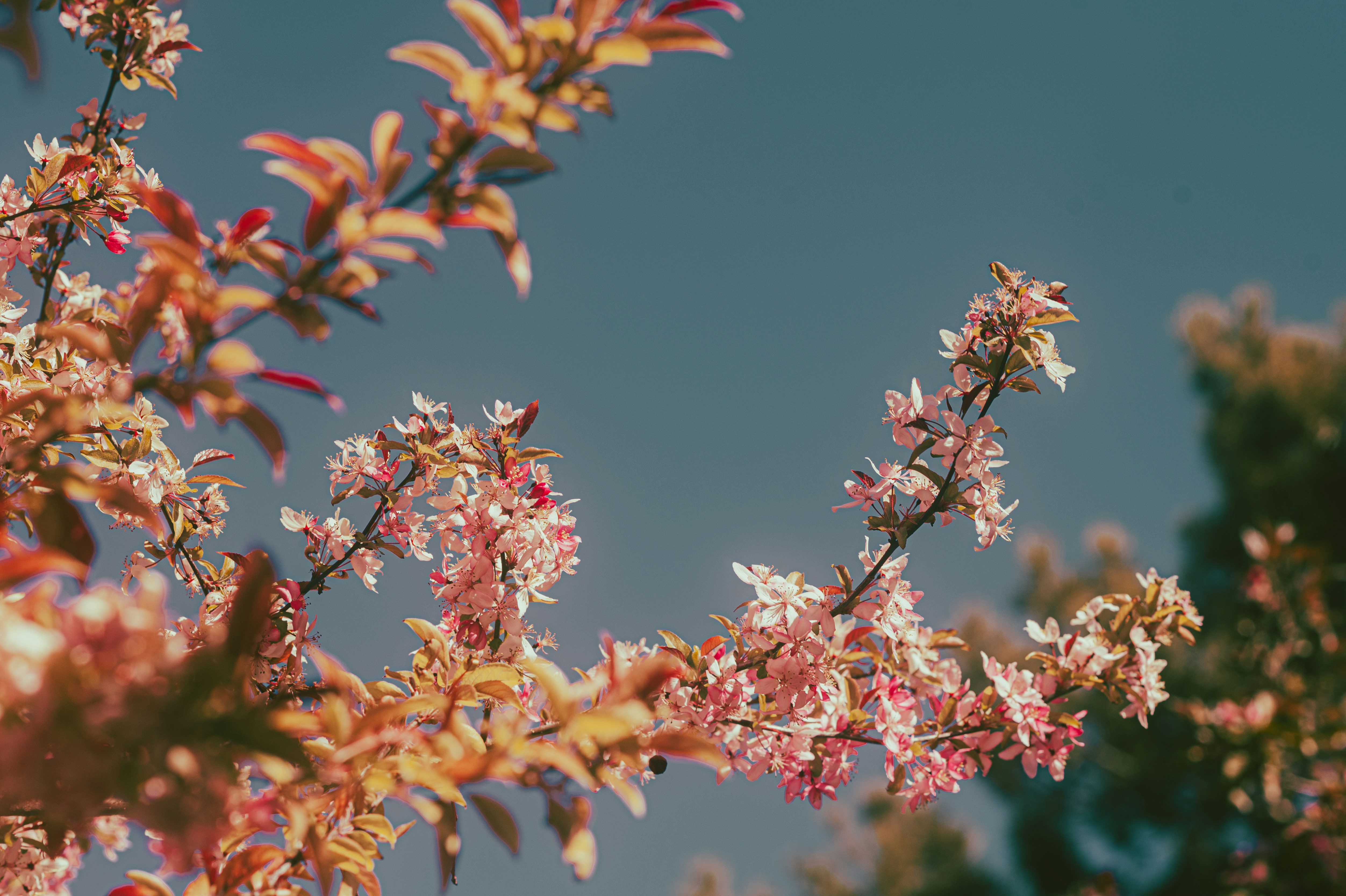 Photo by tayannphoto