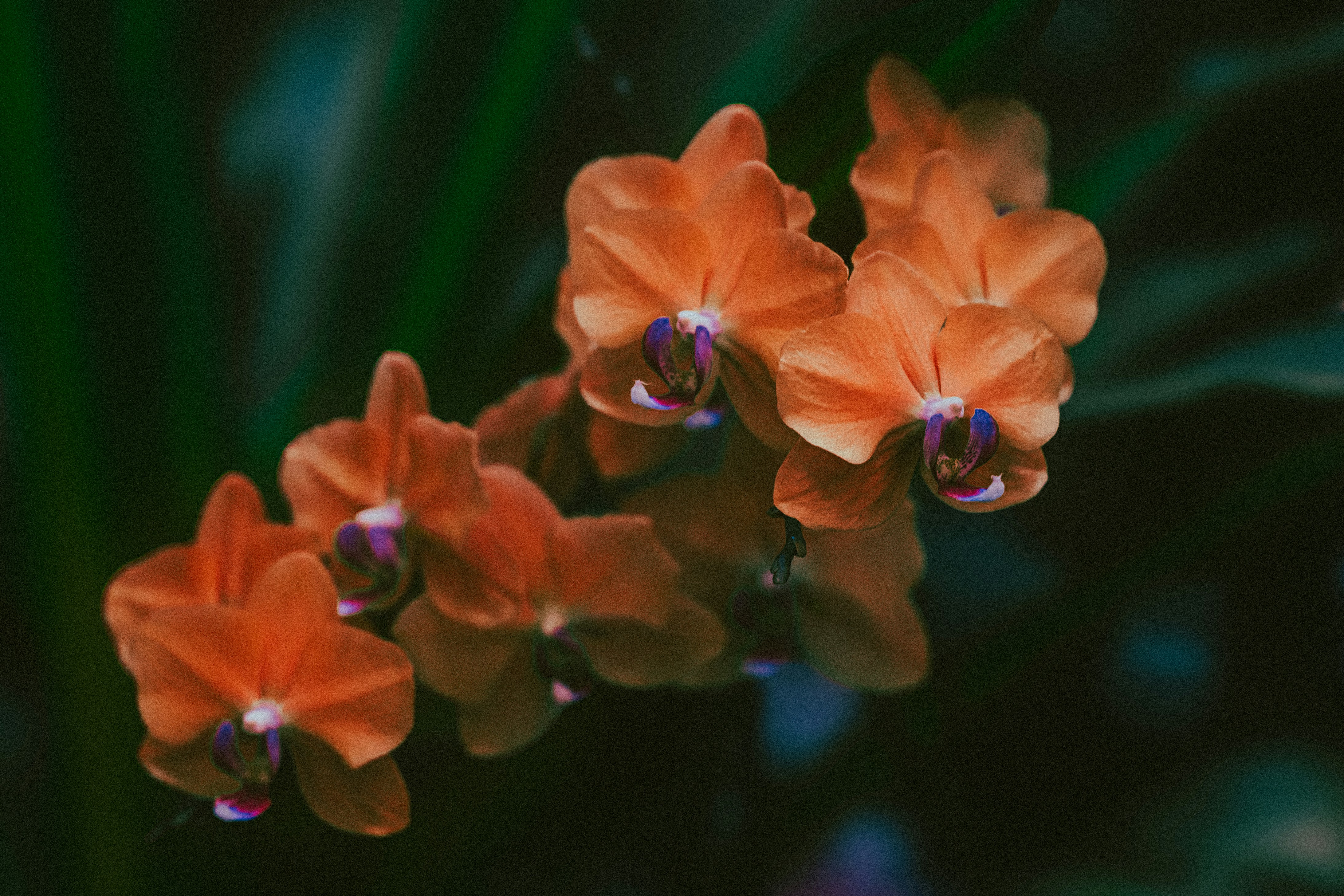 Photo by tayannphoto