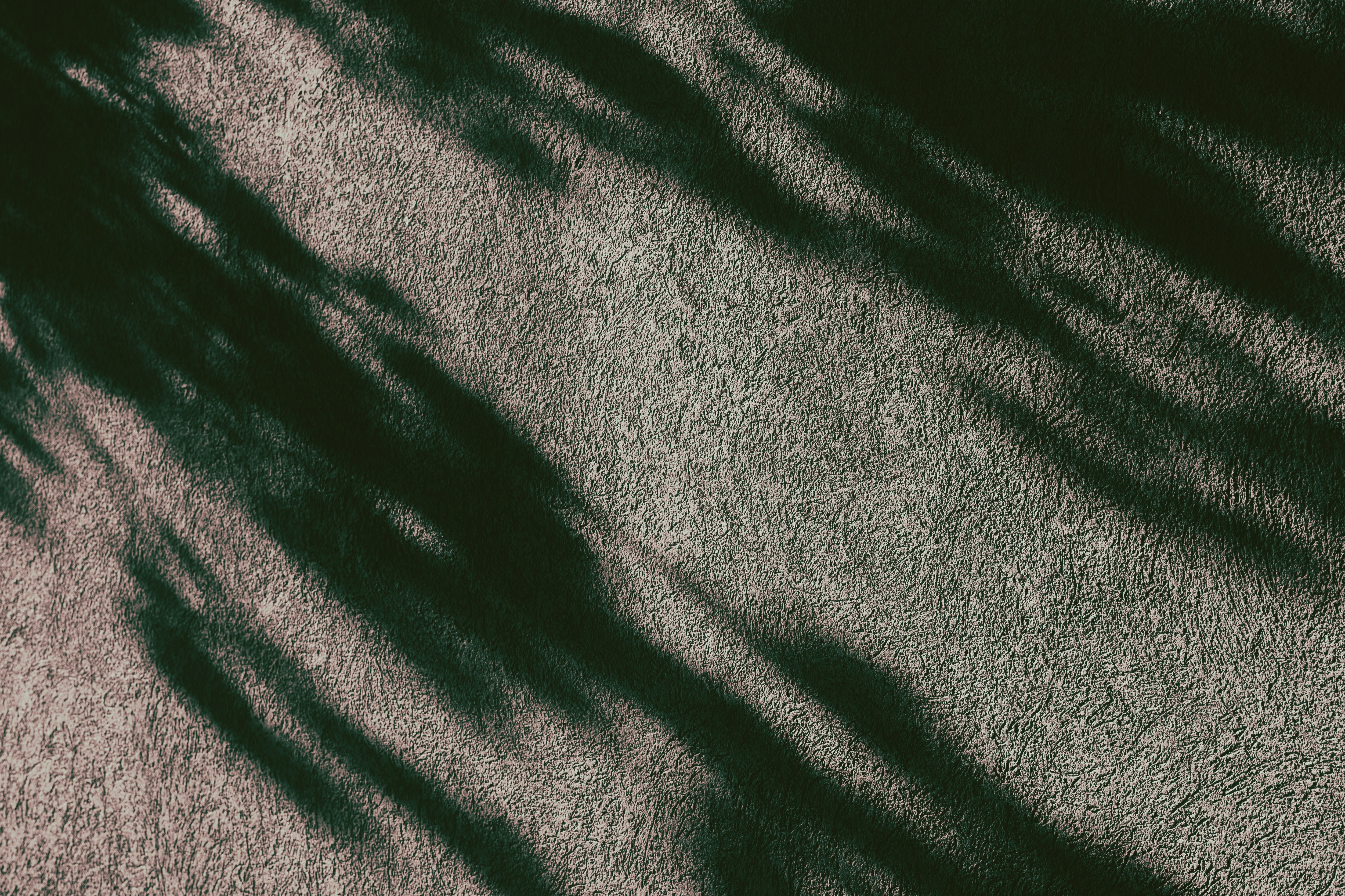 Photo by tayannphoto