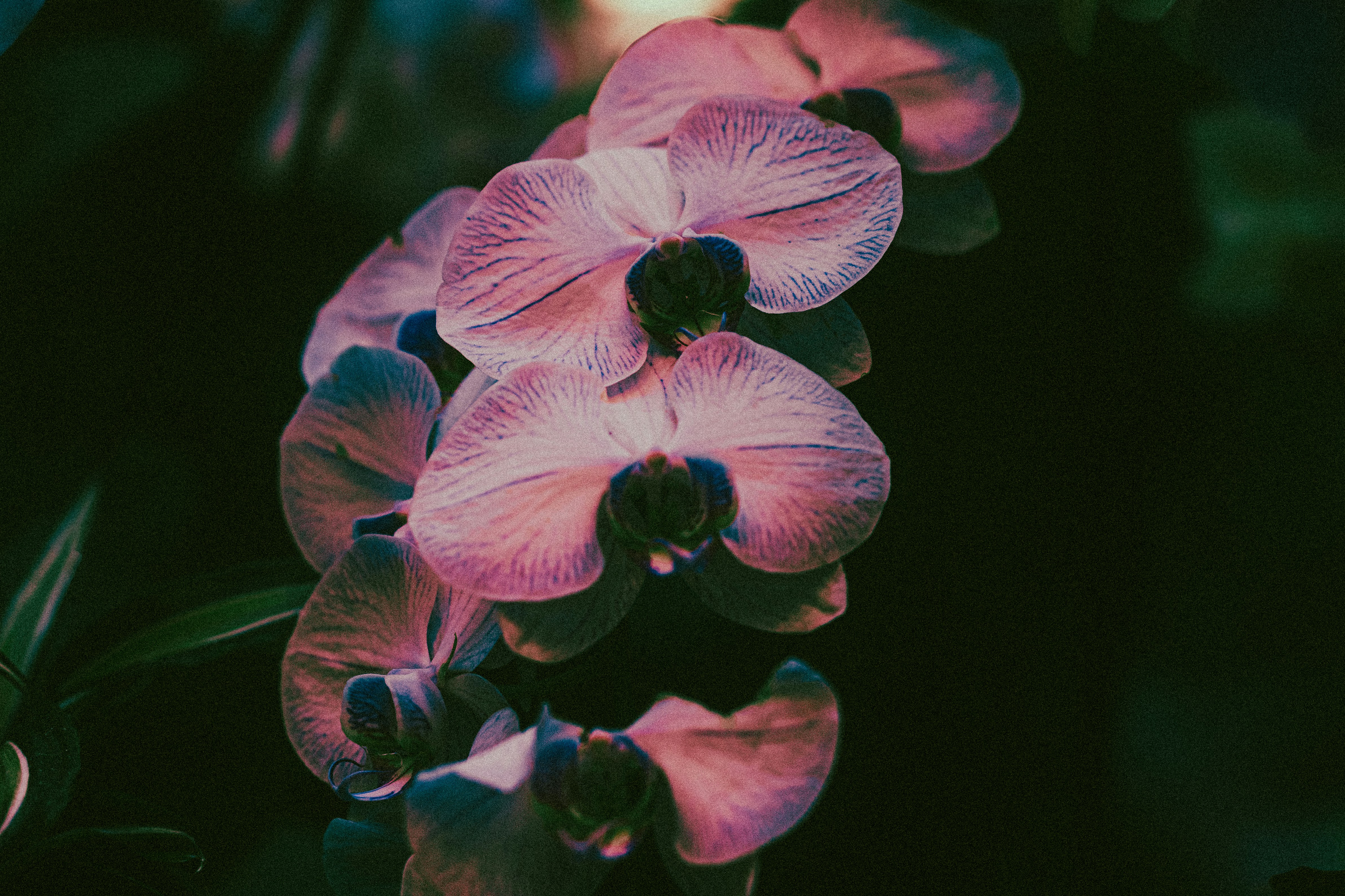 Photo by tayannphoto