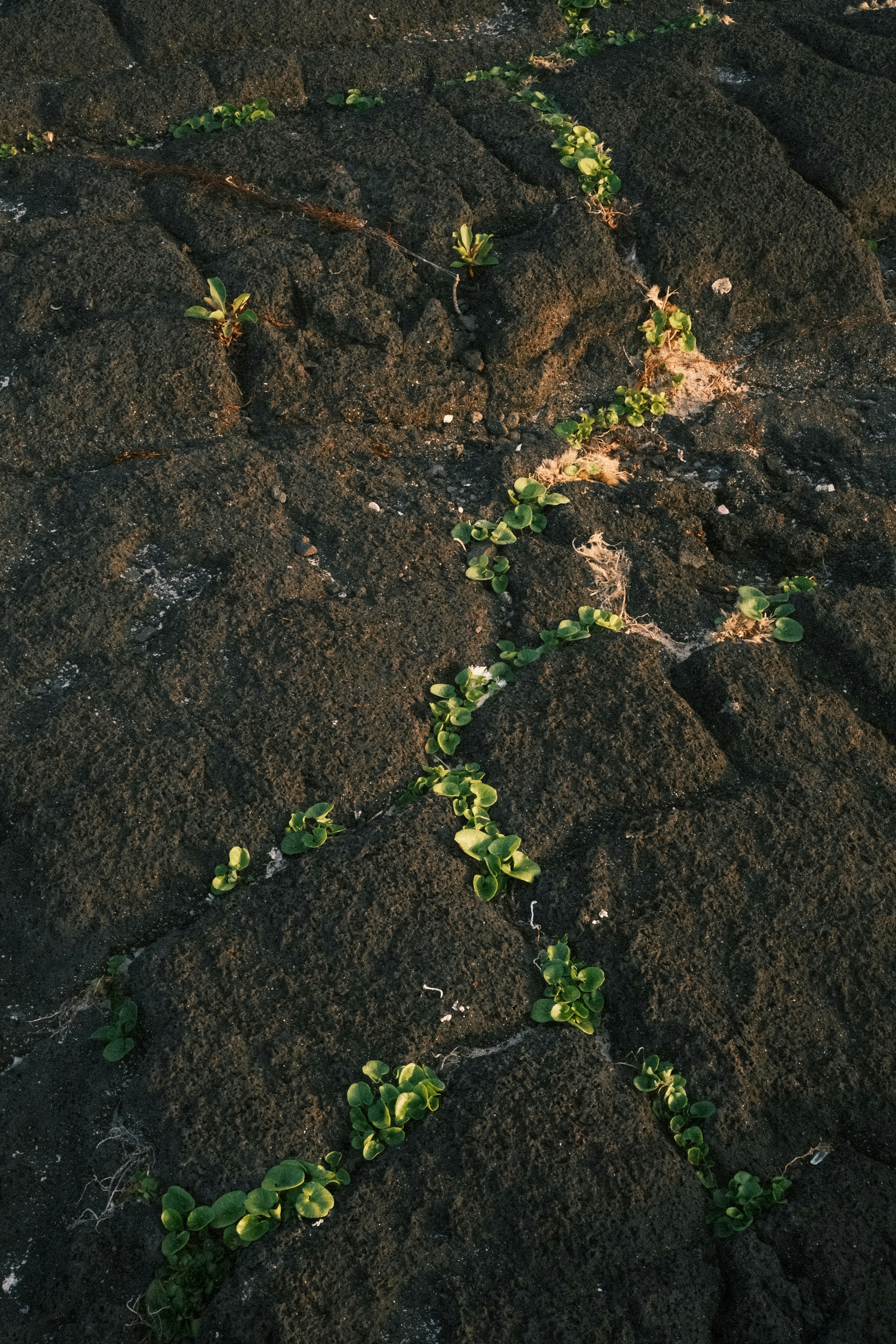 Photo by offtoseetheworld