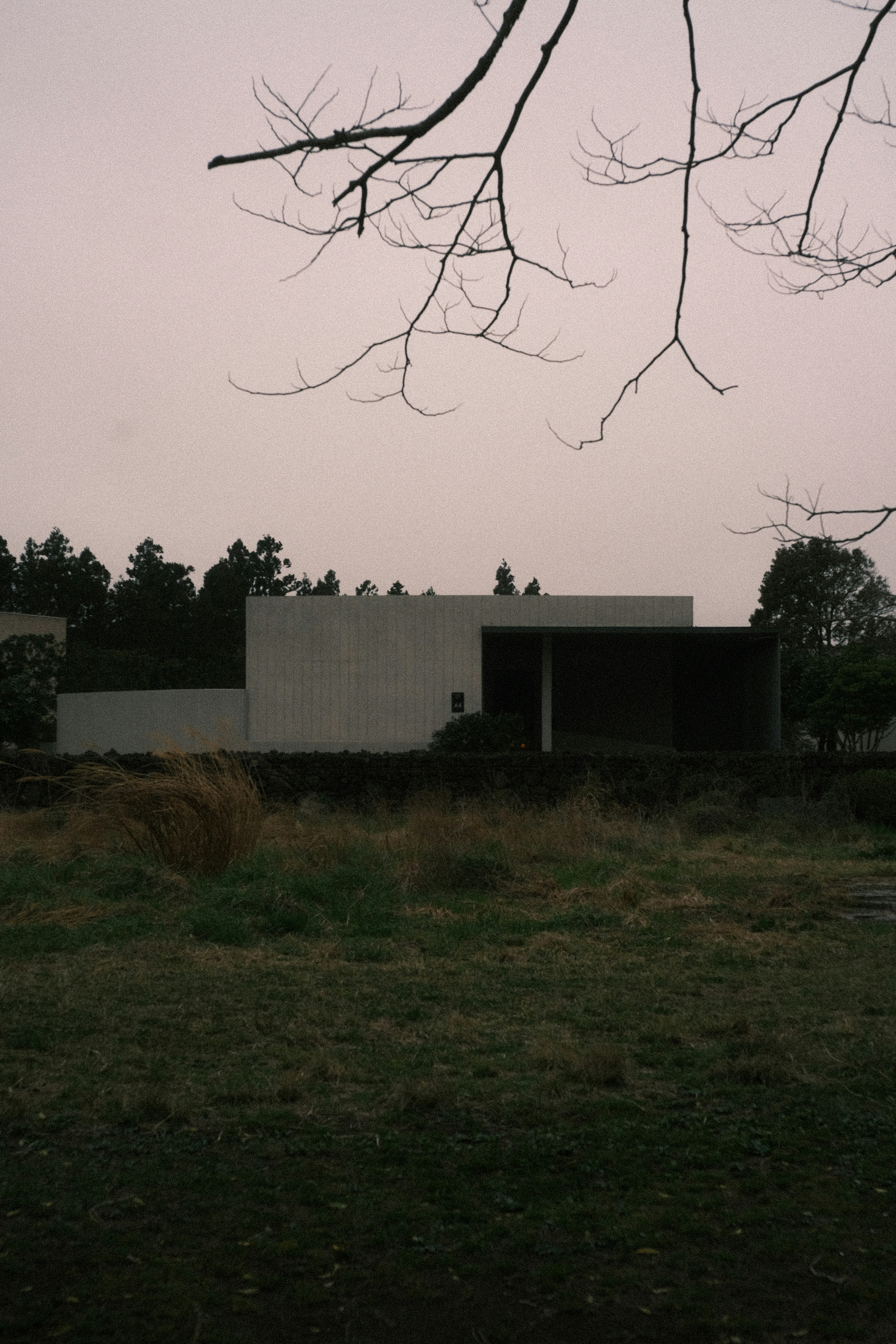 Bâtiment moderne avec arbres et herbe sèche