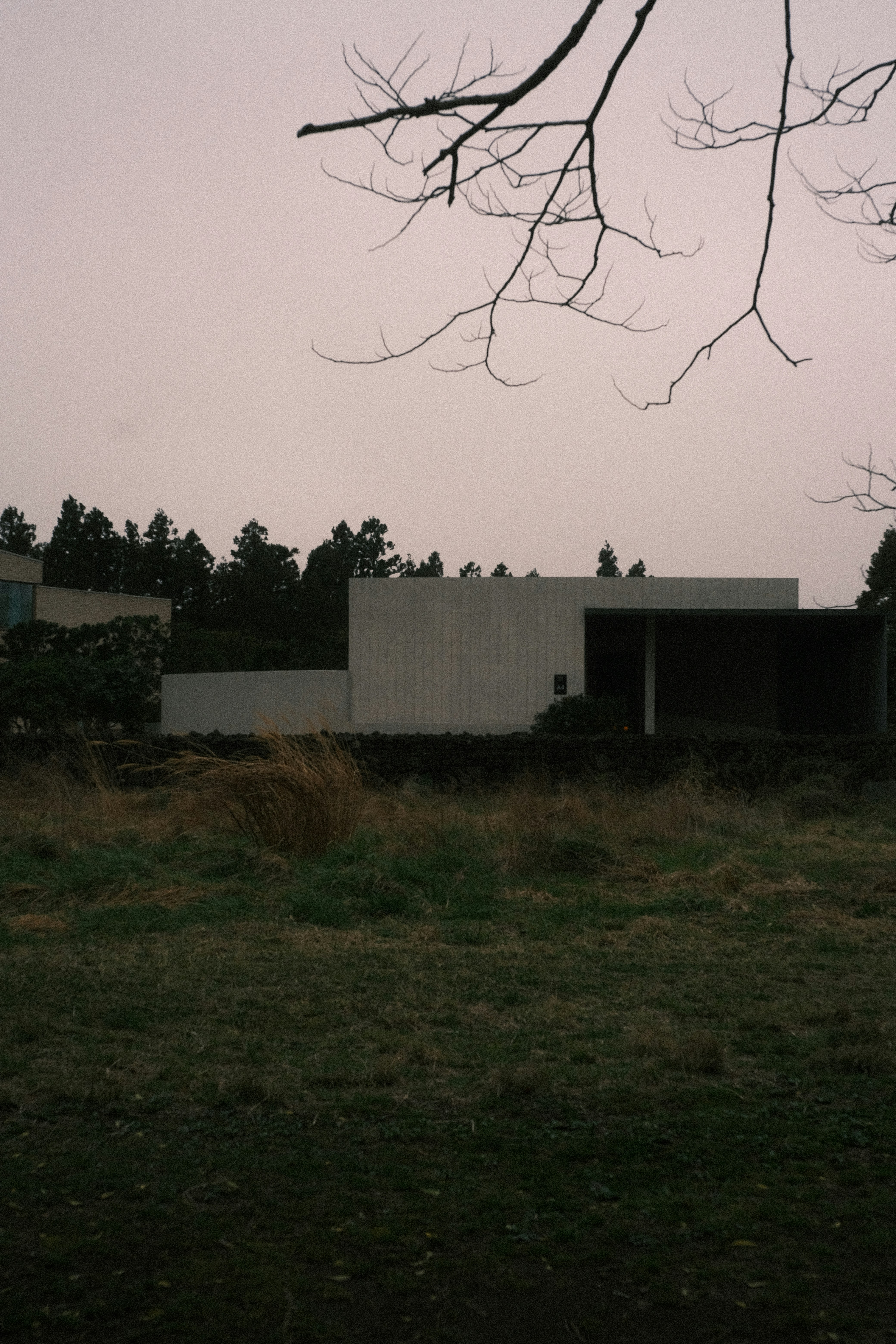 Bâtiment moderne en béton au milieu des arbres et de l’herbe