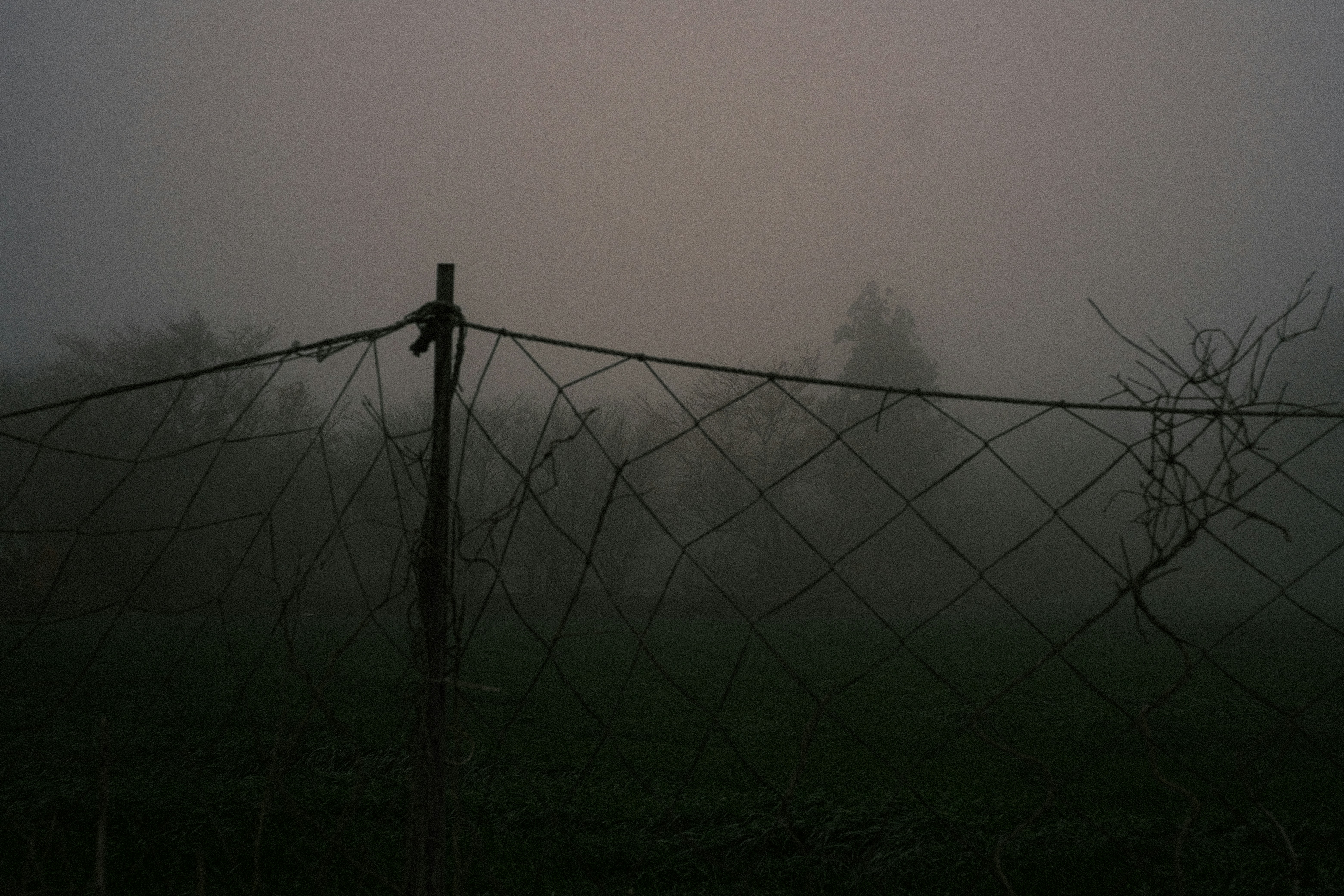 Une clôture en fil de fer dans un paysage brumeux et sombre.