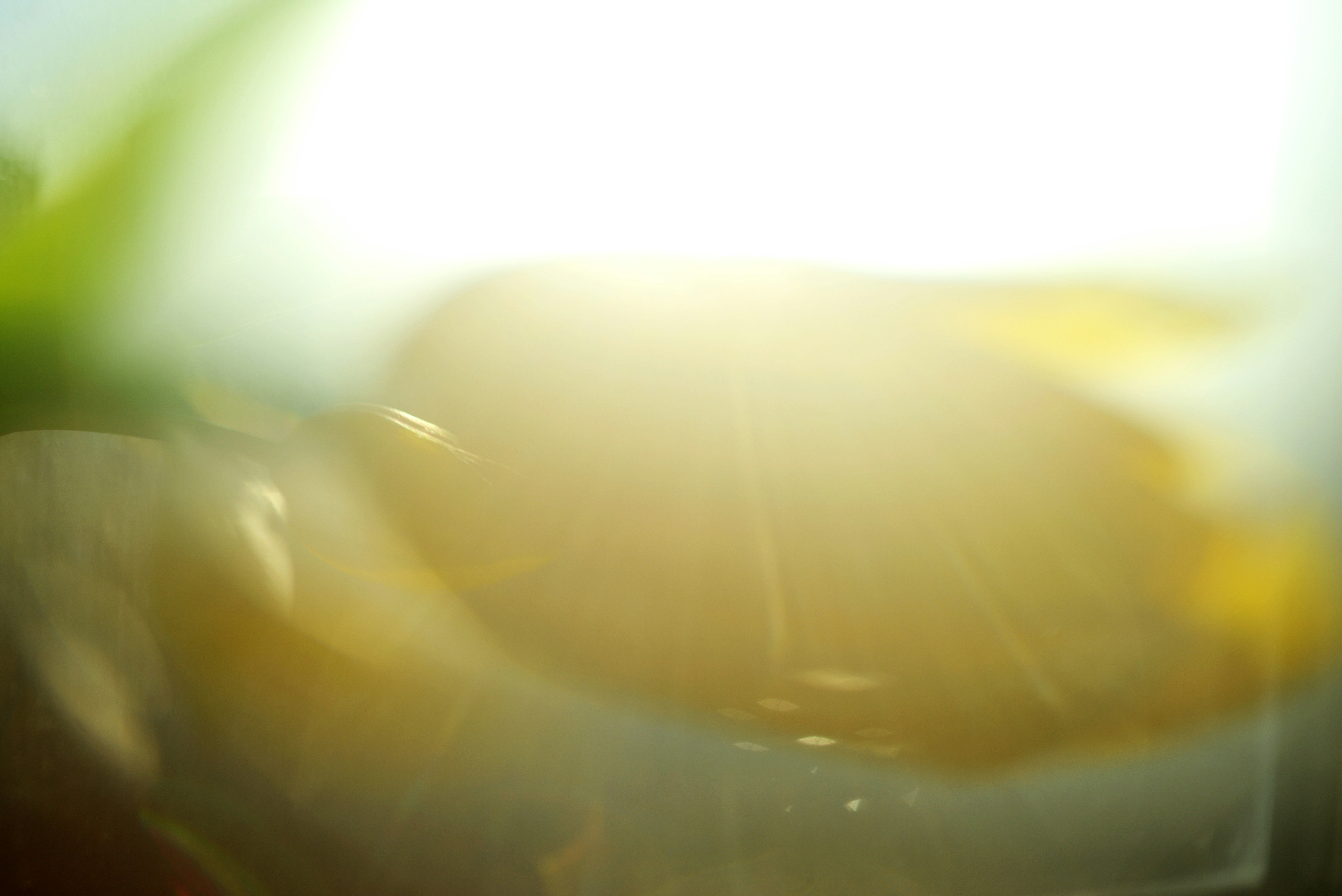 Photo by cherstve_pechivo