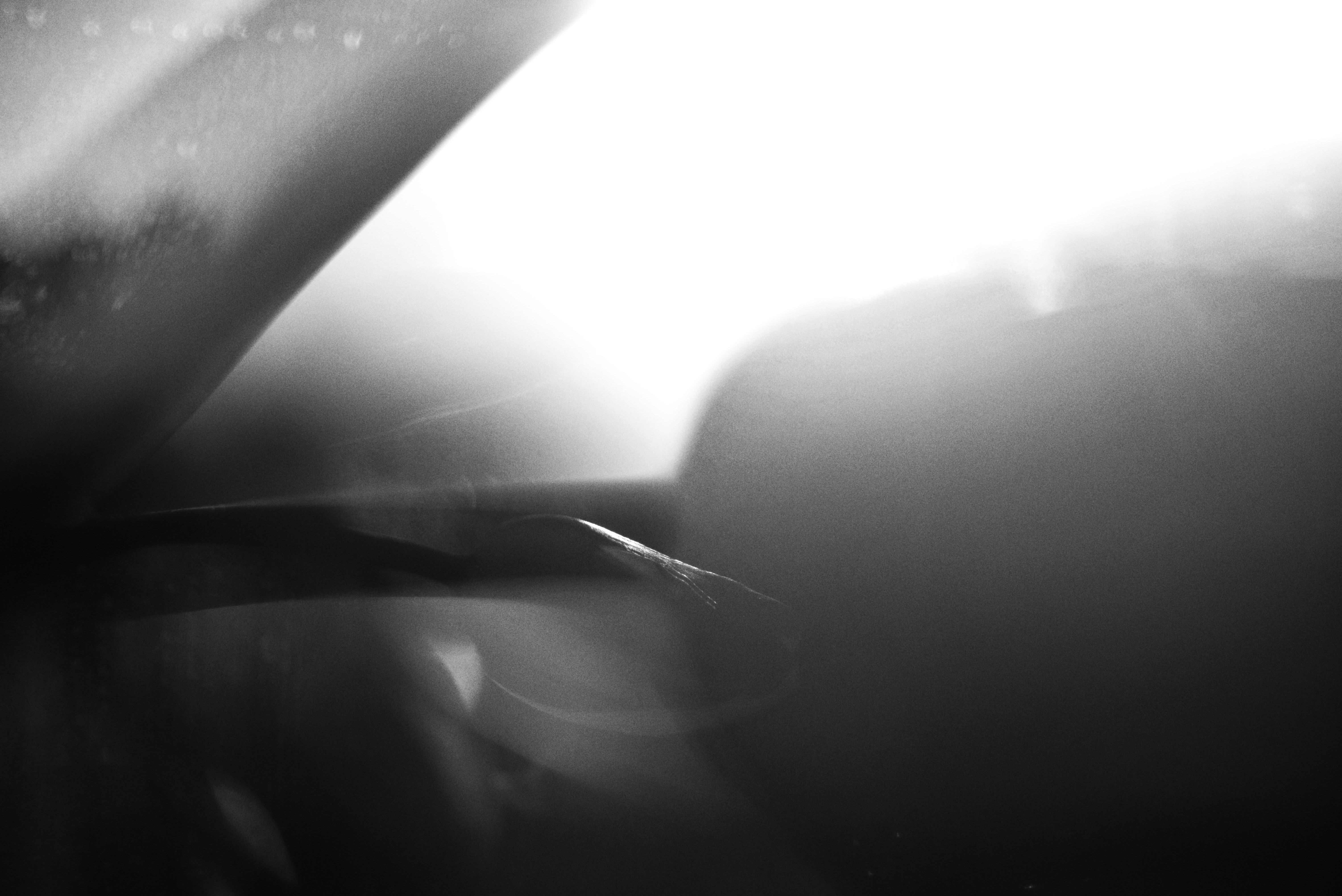 Photo by cherstve_pechivo