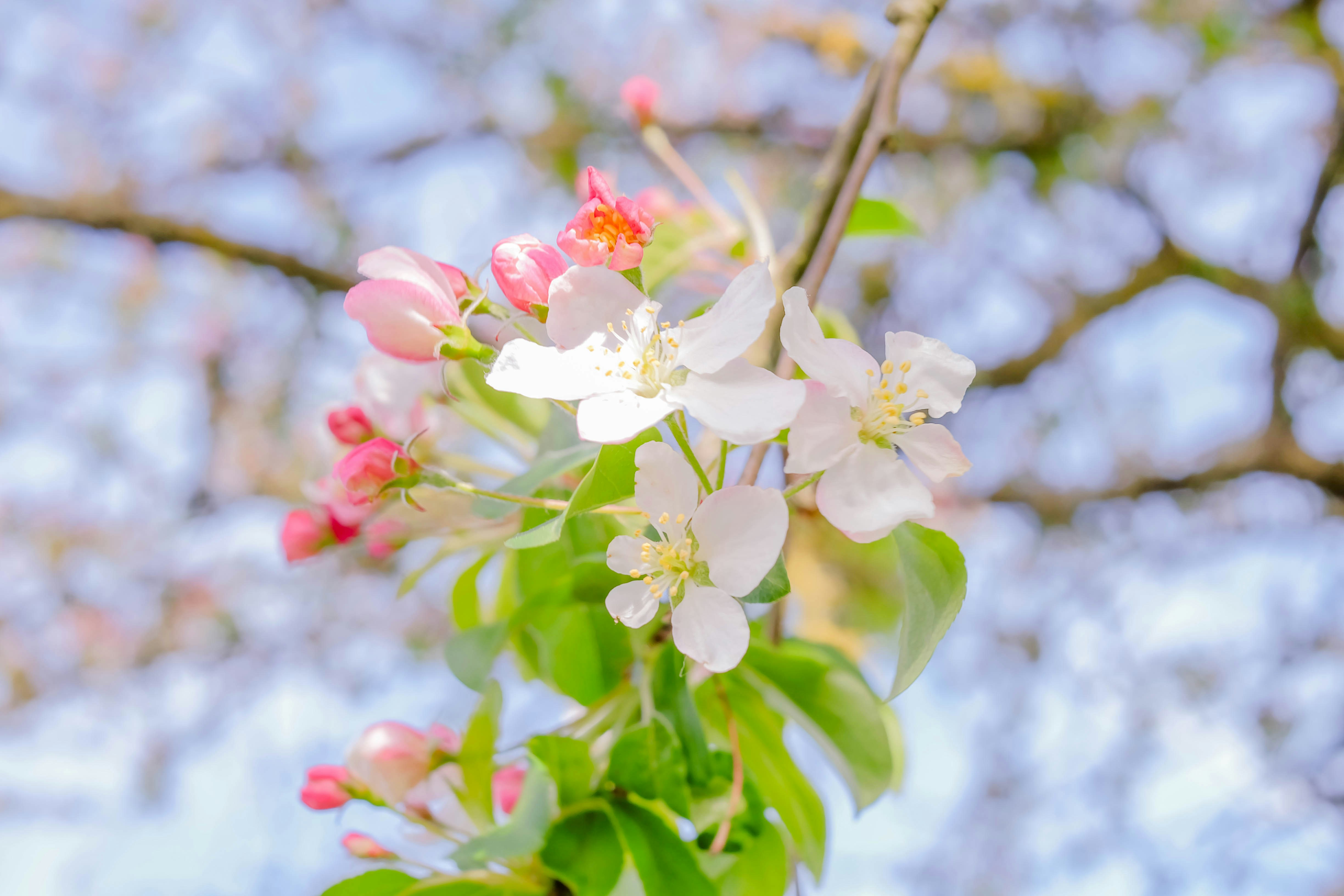 Photo by vanessazhu777