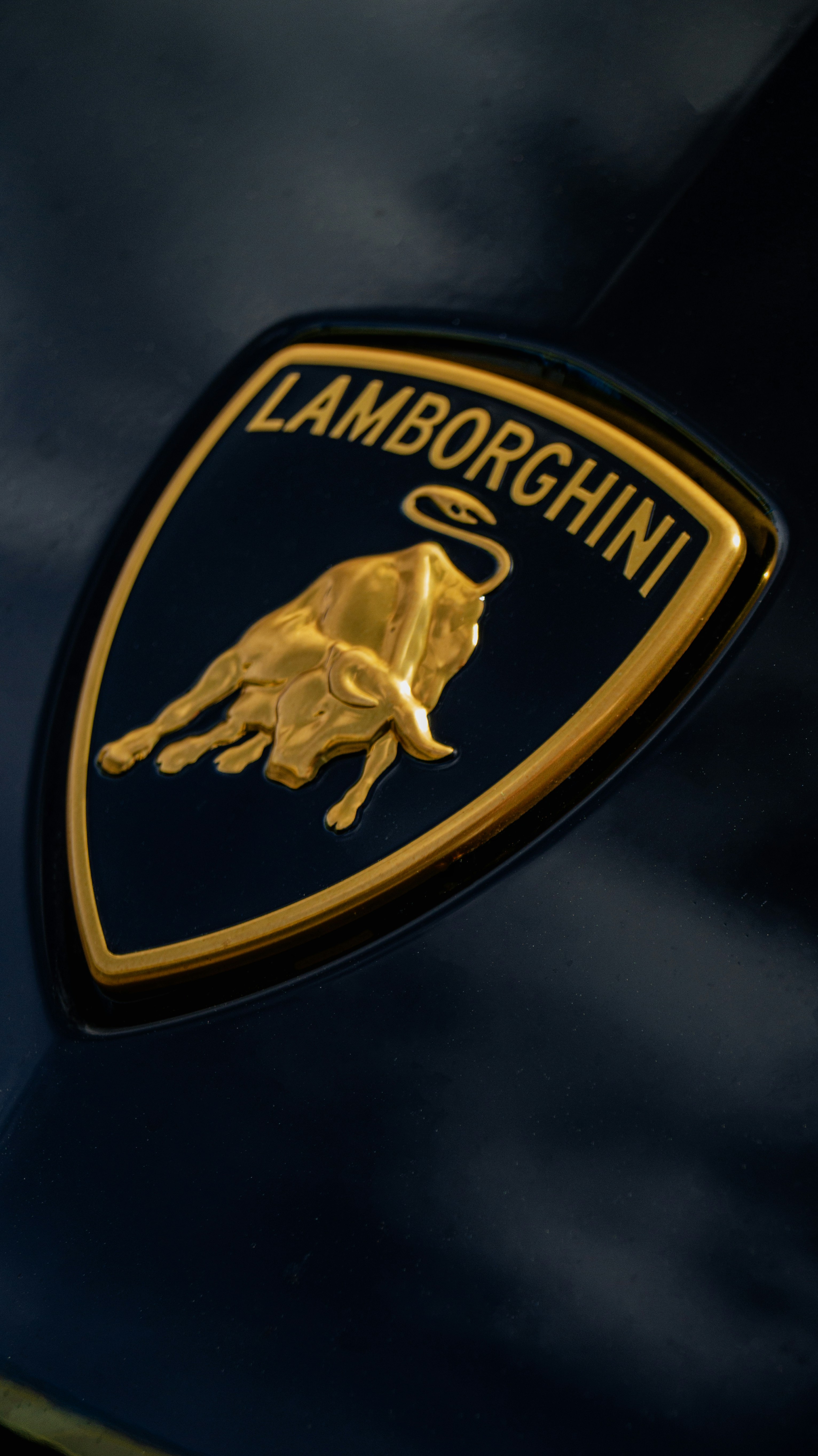 Golden lamborghini logo on a dark blue background.