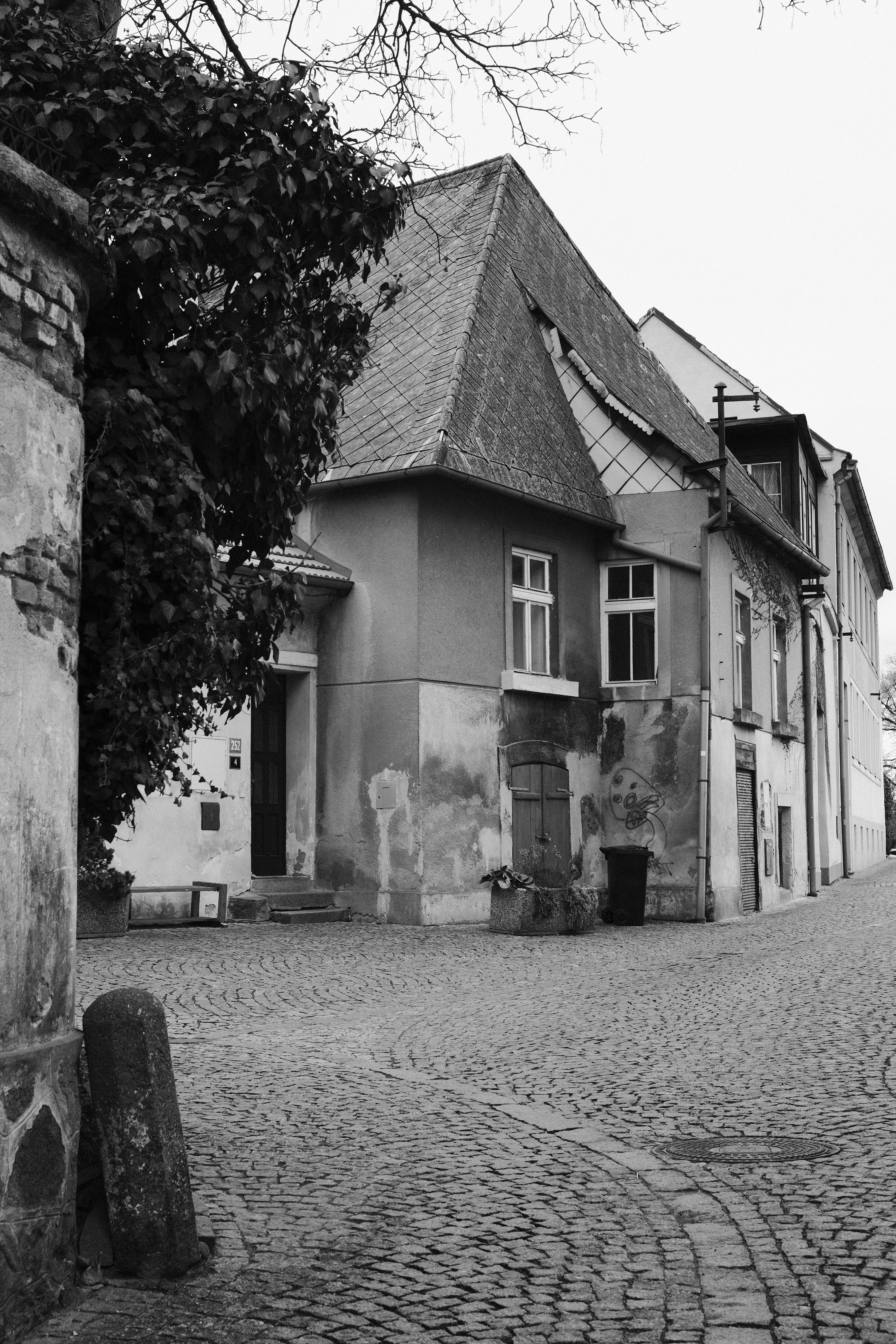 Photo by machcz