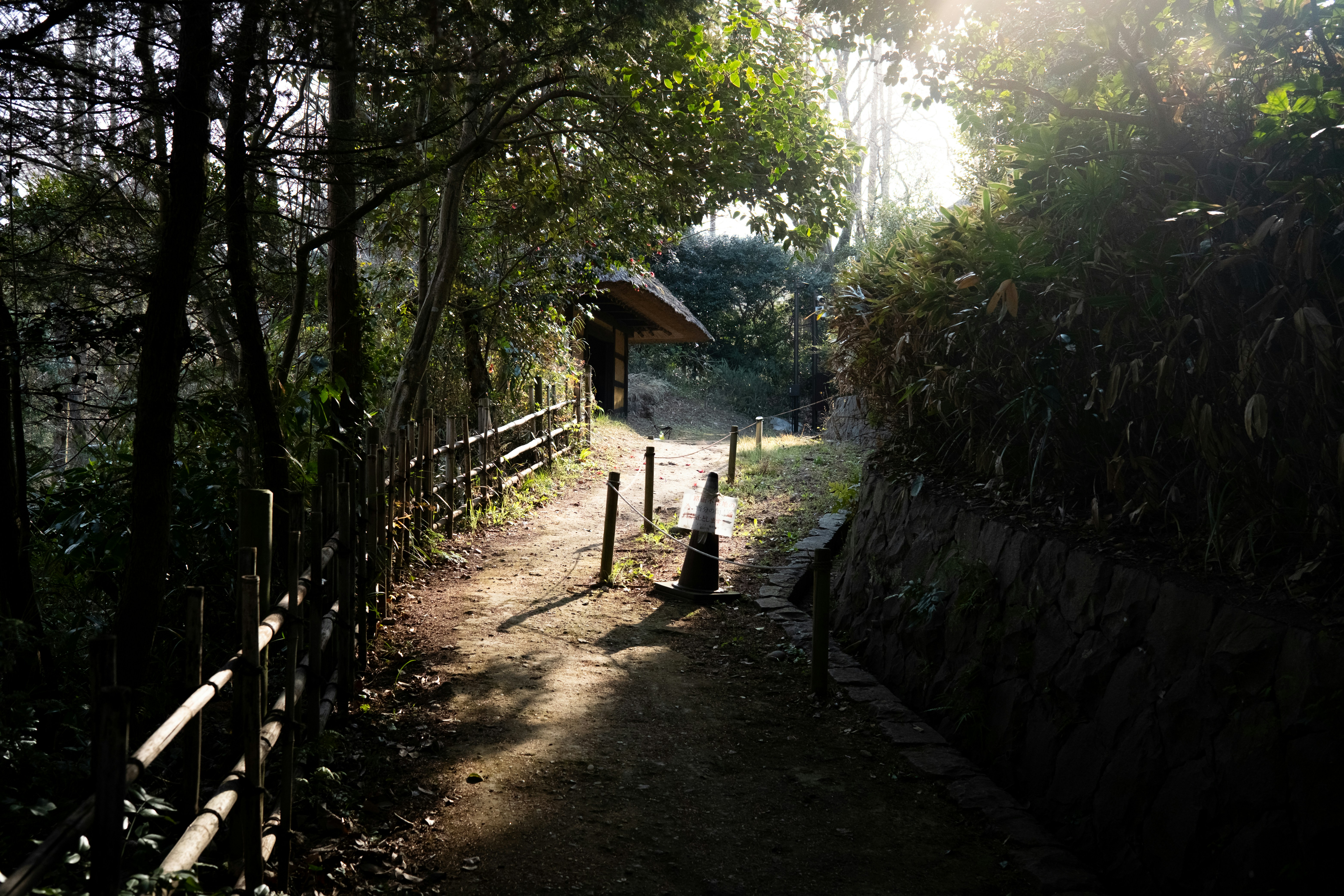 Un chemin baigné de soleil à travers une forêt luxuriante avec un petit bâtiment.