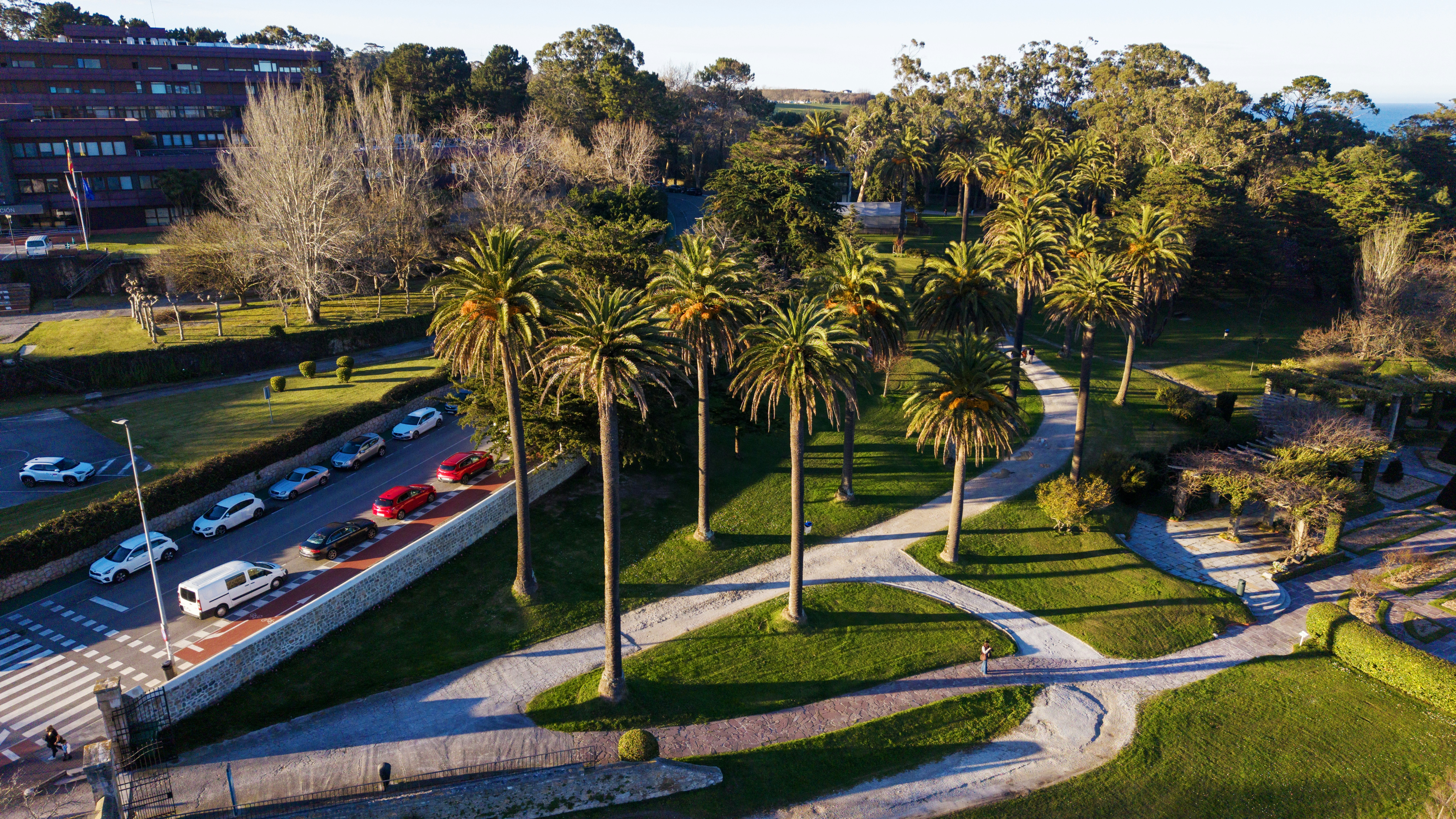 Palm trees line a park path with cars nearby.