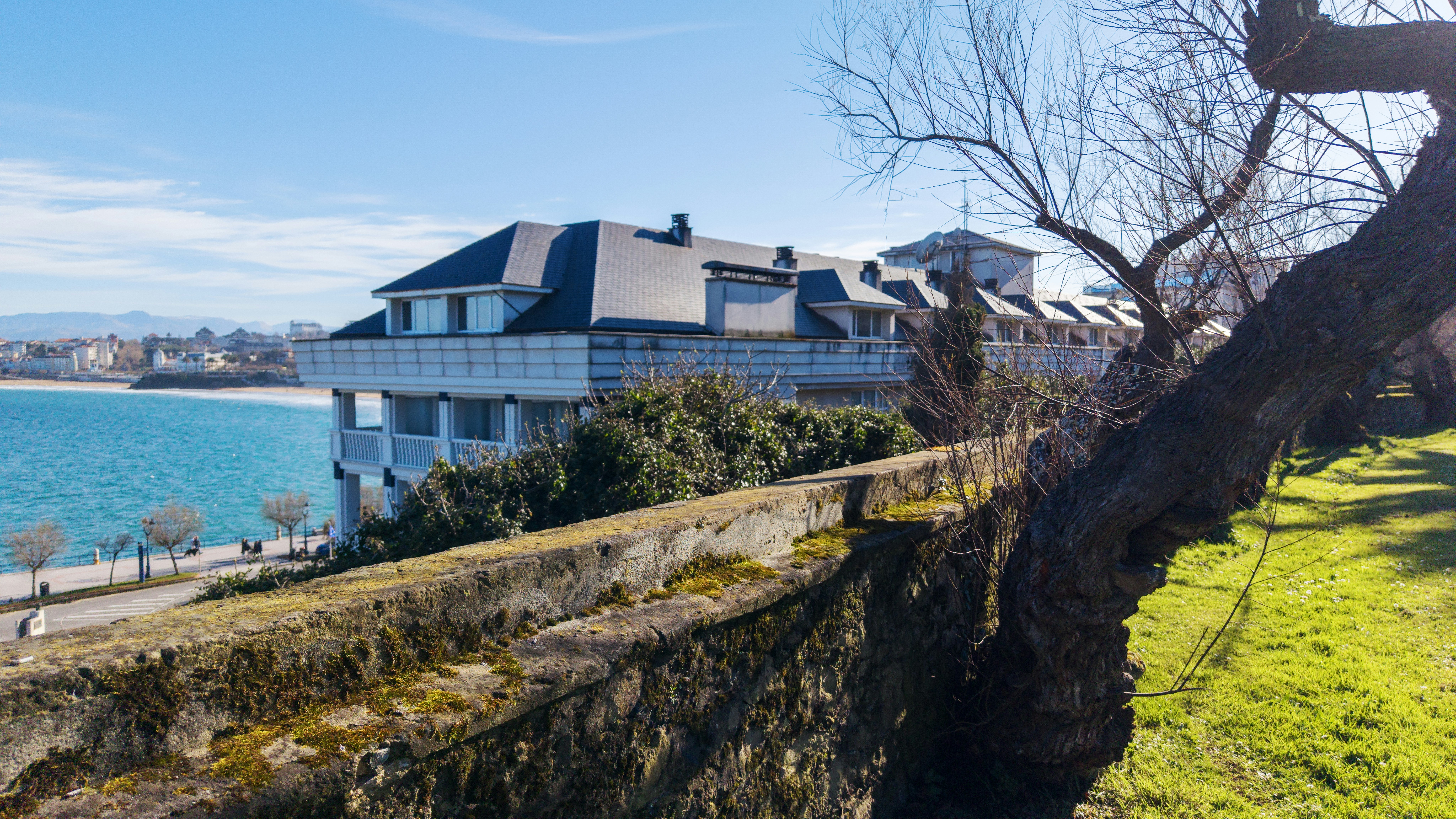 Modern building overlooking a blue ocean with trees.