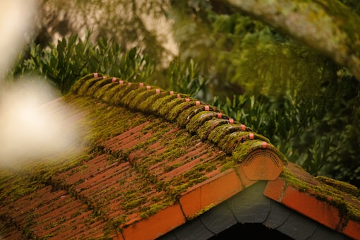 Roof Cleaning Dublin