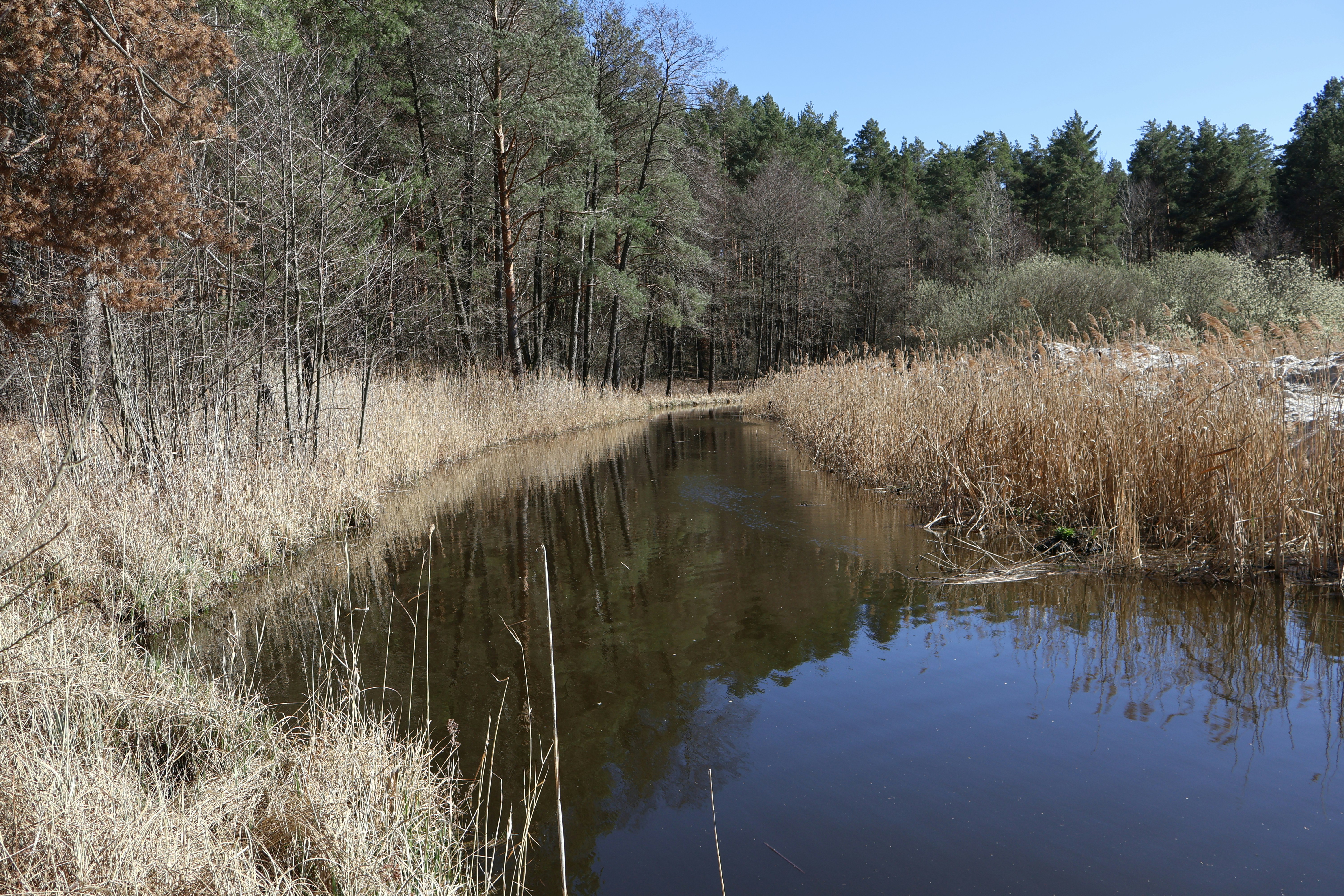 Crow Creek Wildlife Management Area