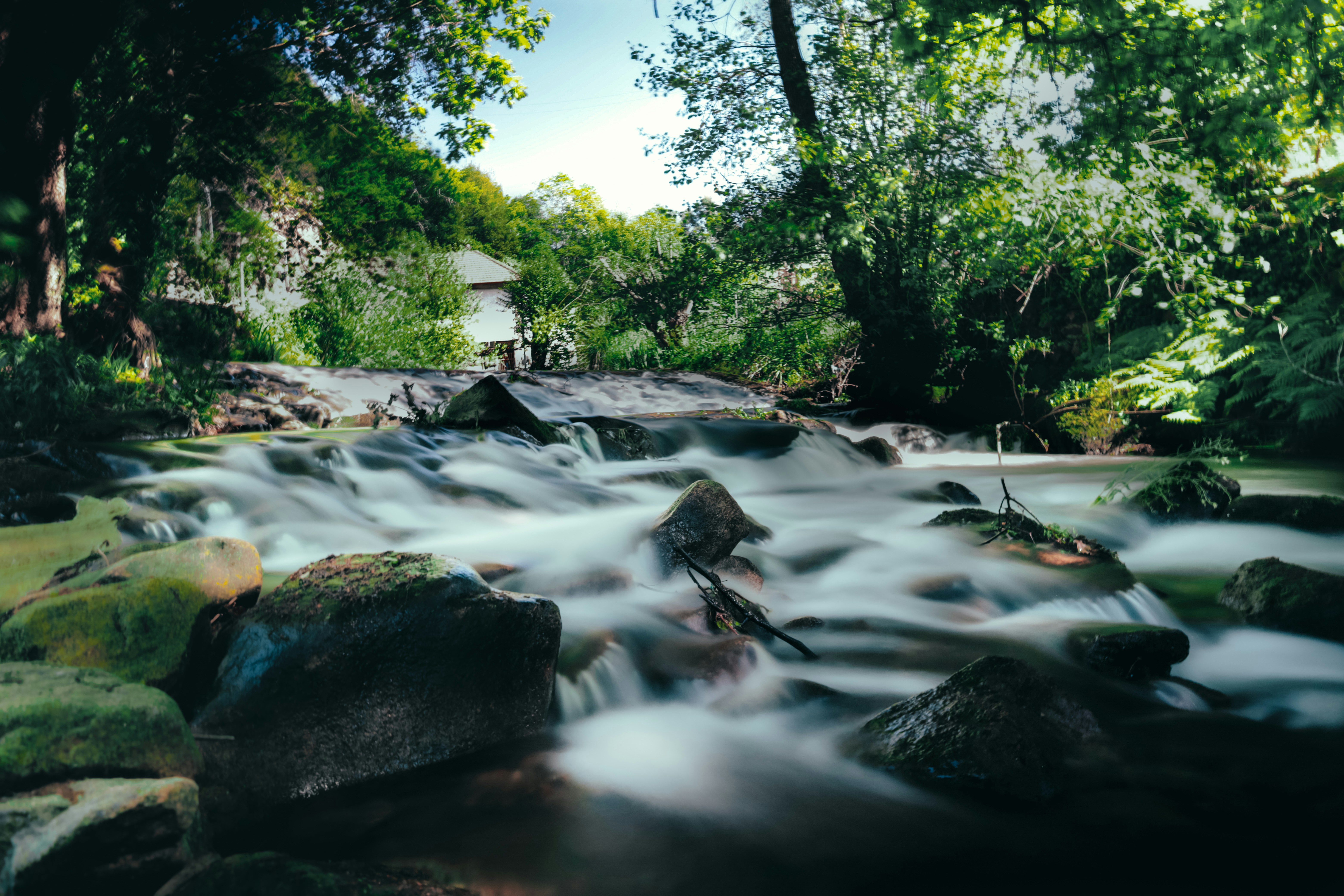 Photo by denx_street