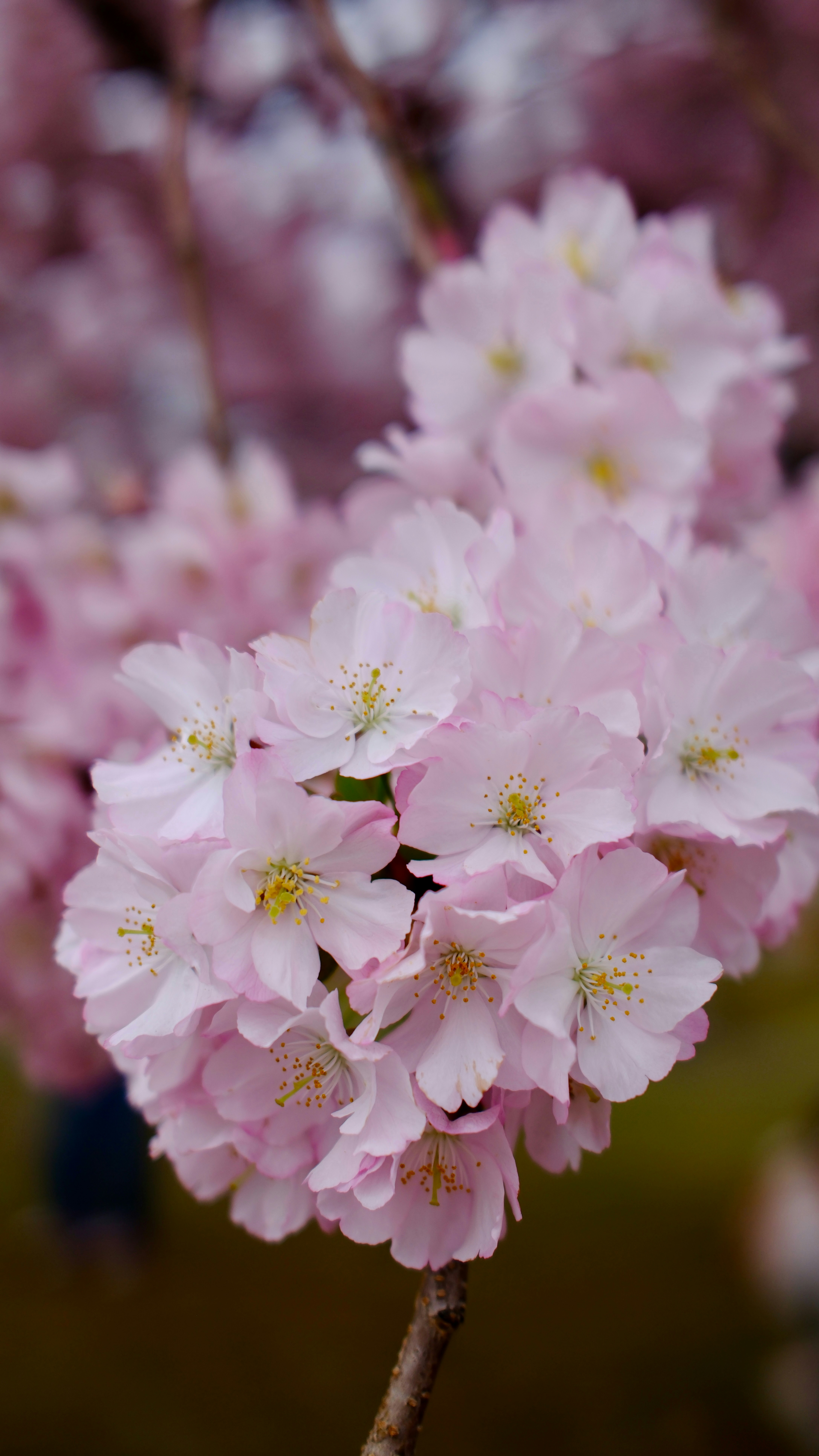 Photo by dipenpatel0810