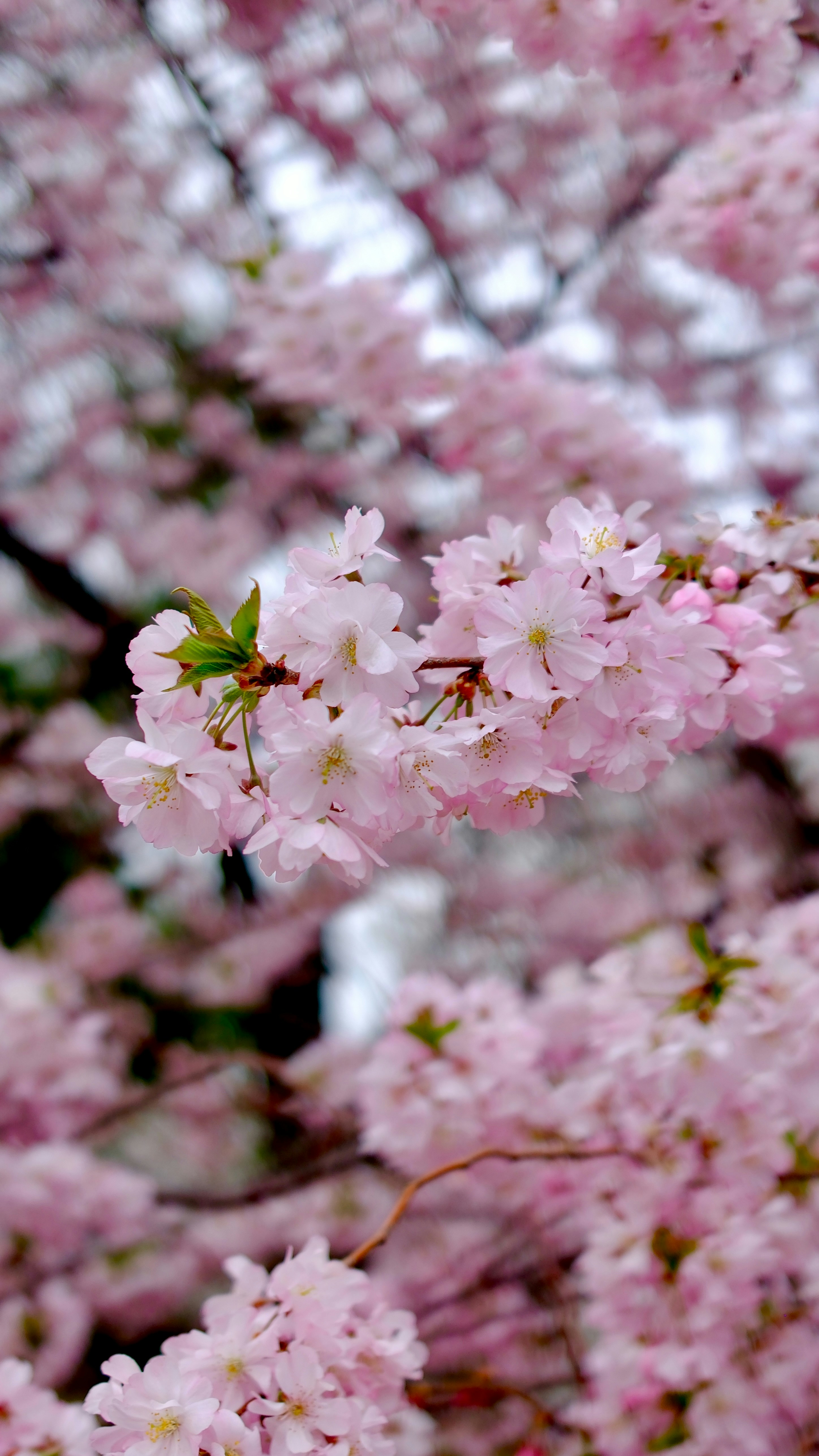 Photo by dipenpatel0810