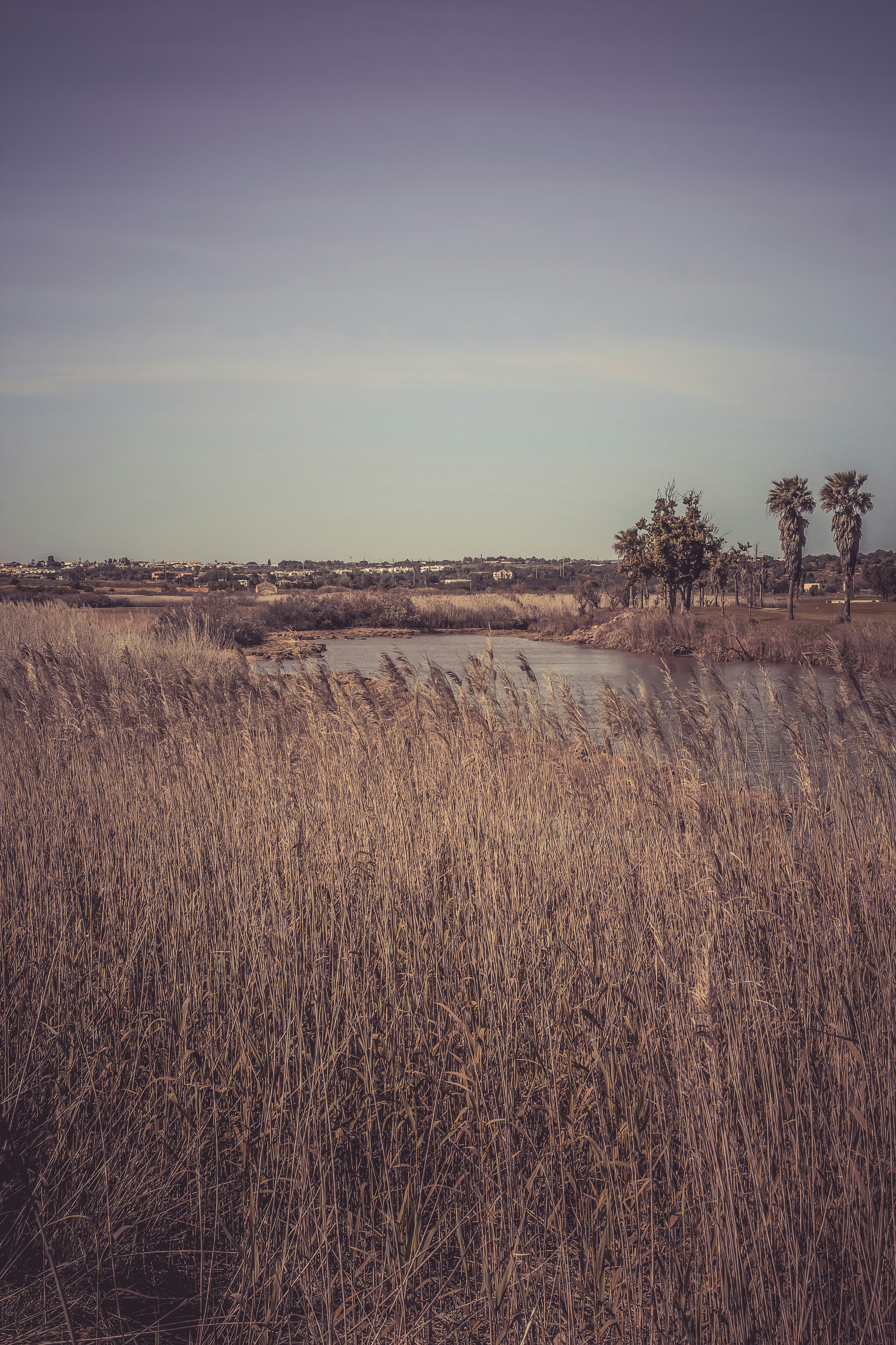 Photo by padi26
